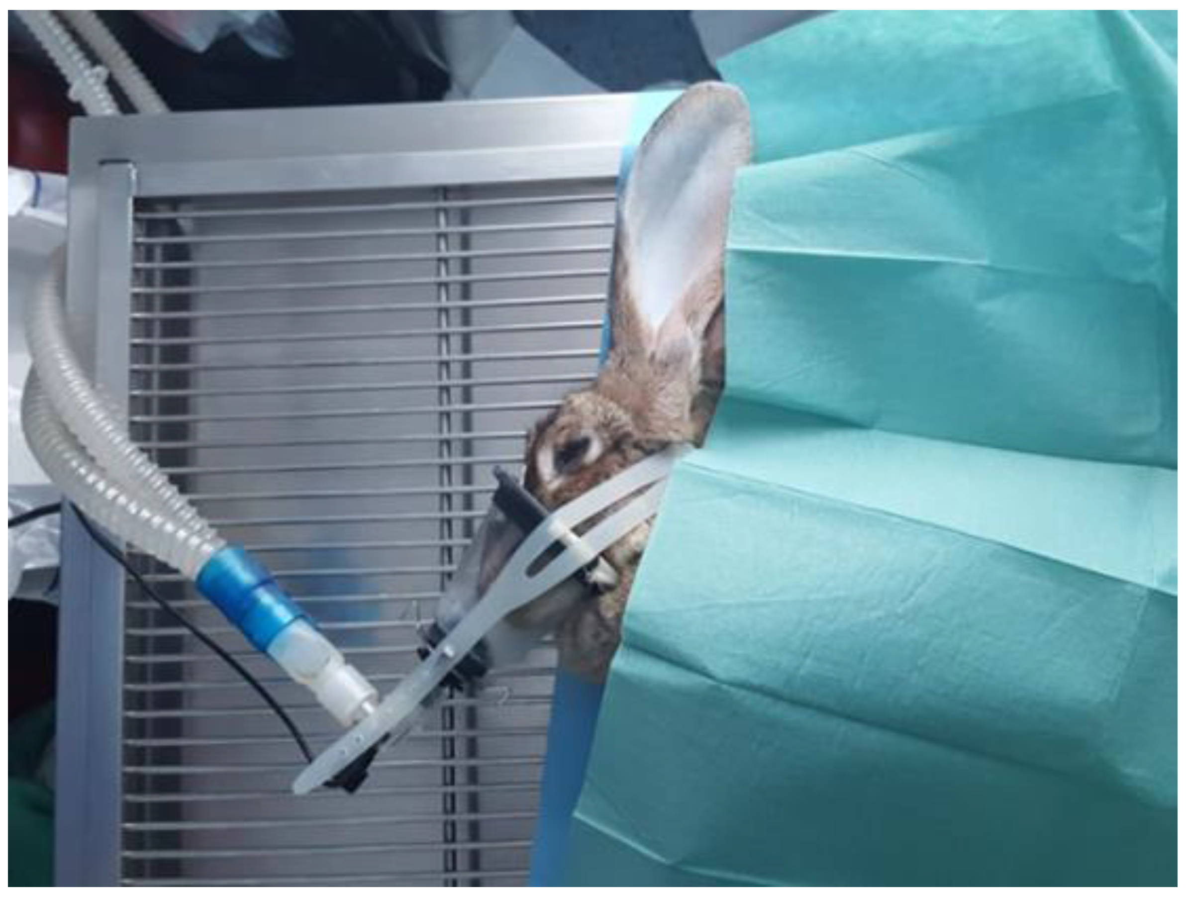 Diagnostics 12 01966 g002