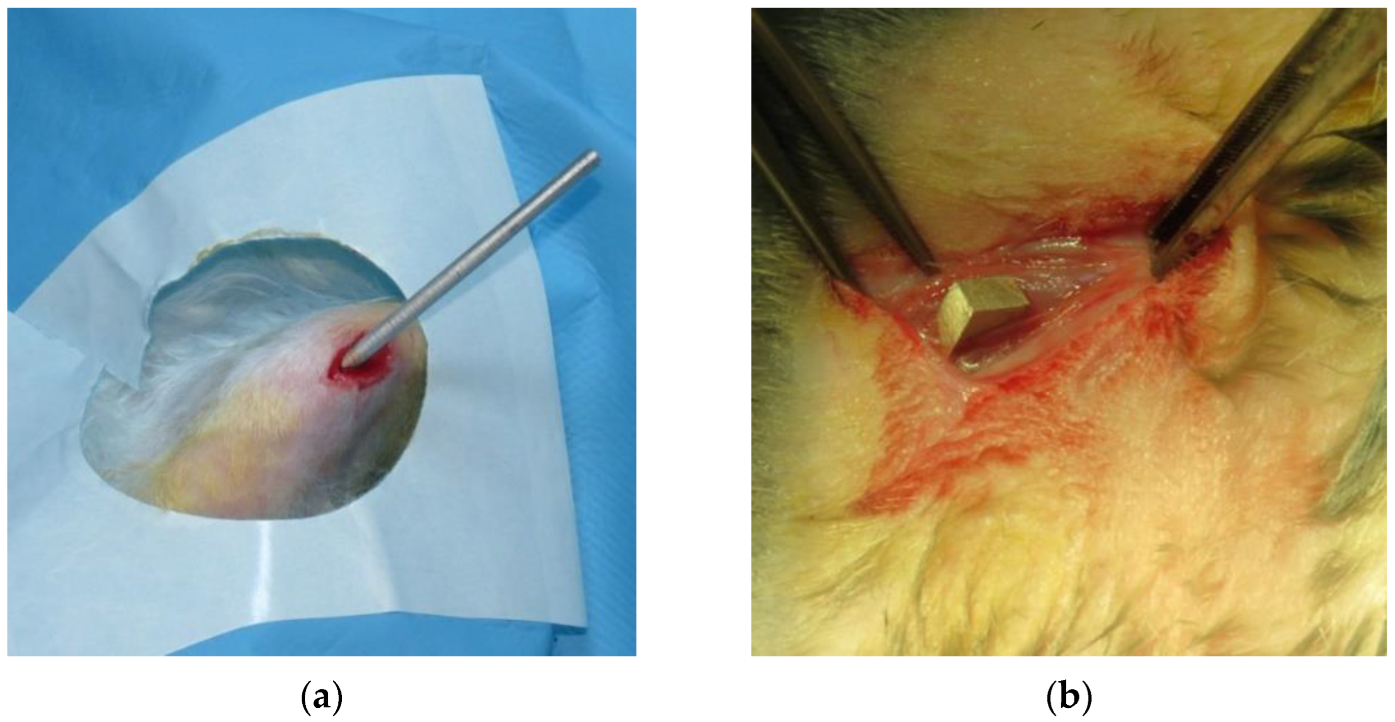Diagnostics 12 01966 g003