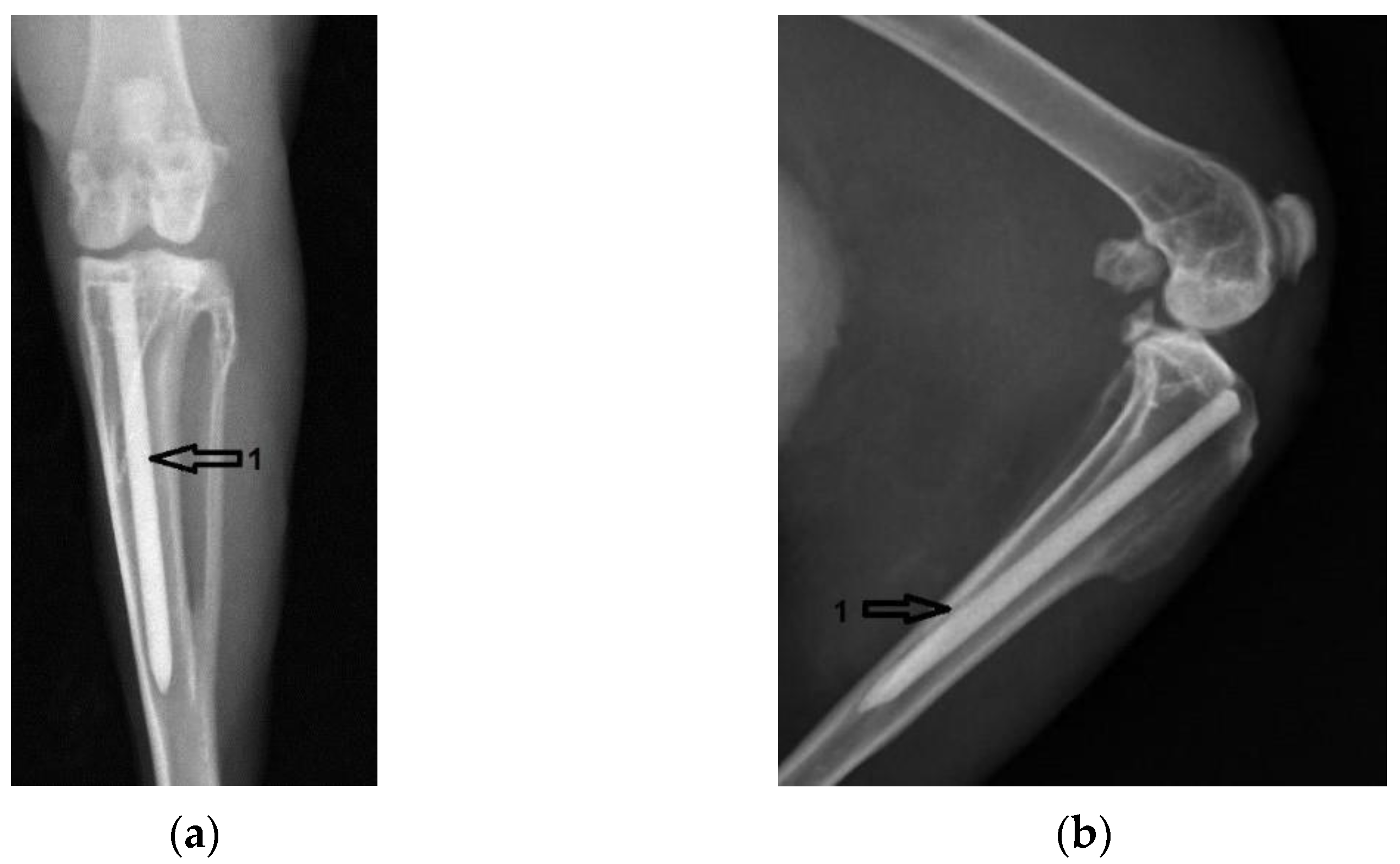 Diagnostics 12 01966 g004