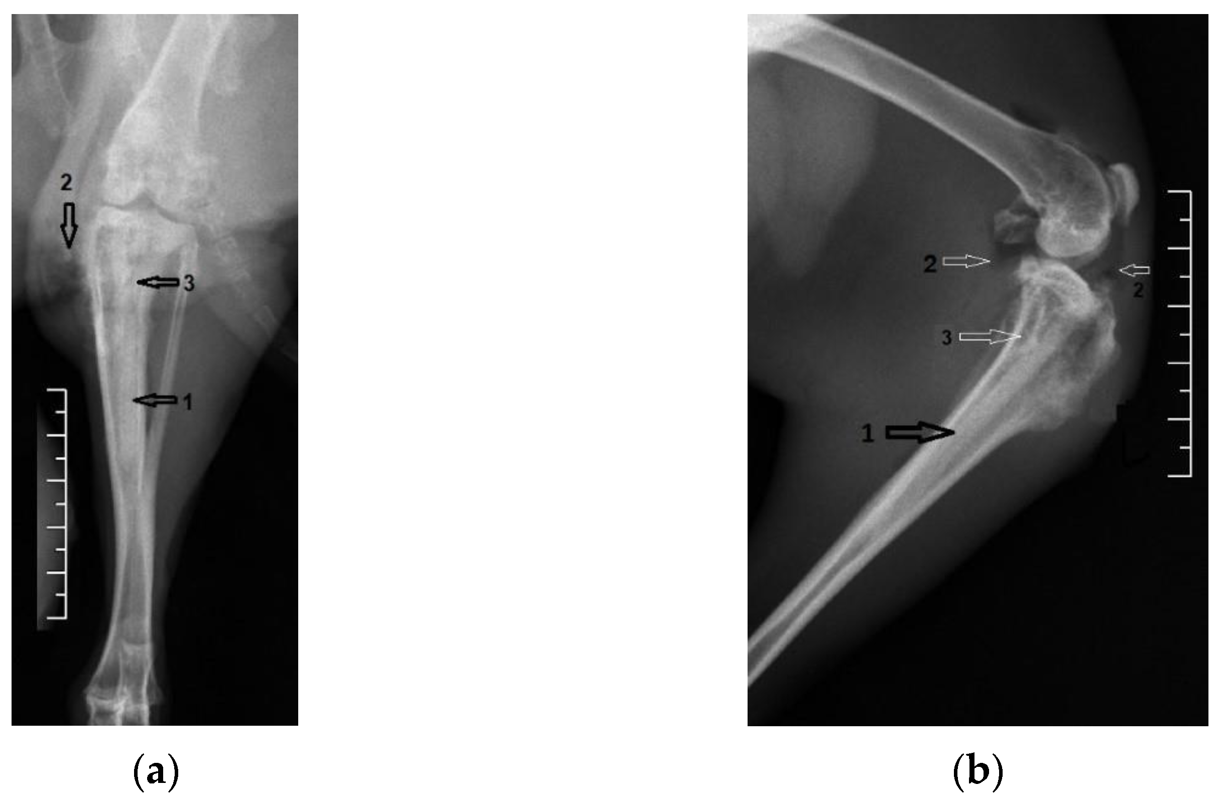 Diagnostics 12 01966 g005