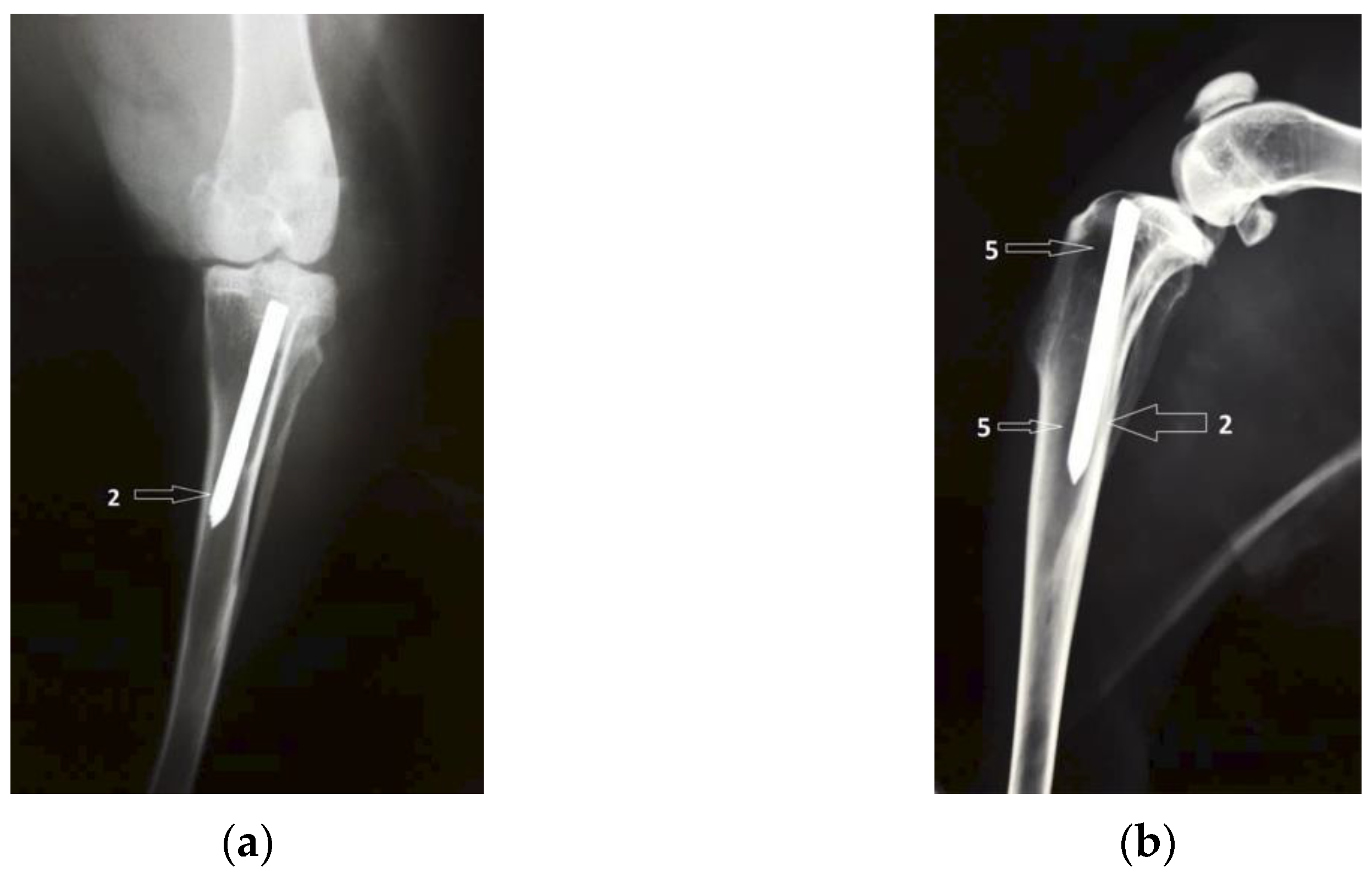 Diagnostics 12 01966 g006