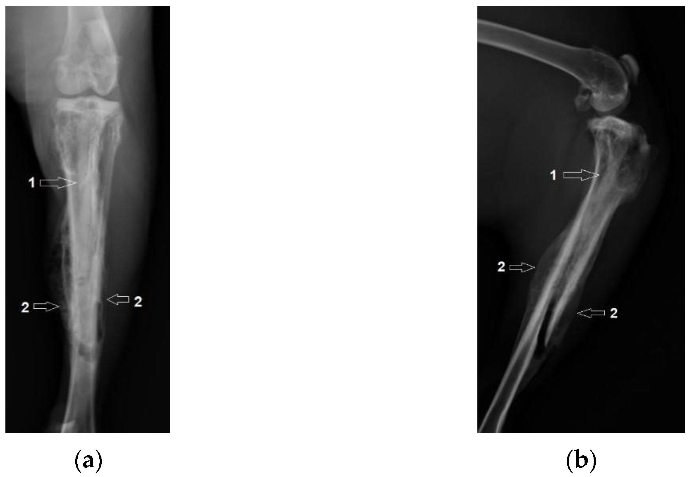 Diagnostics 12 01966 g008