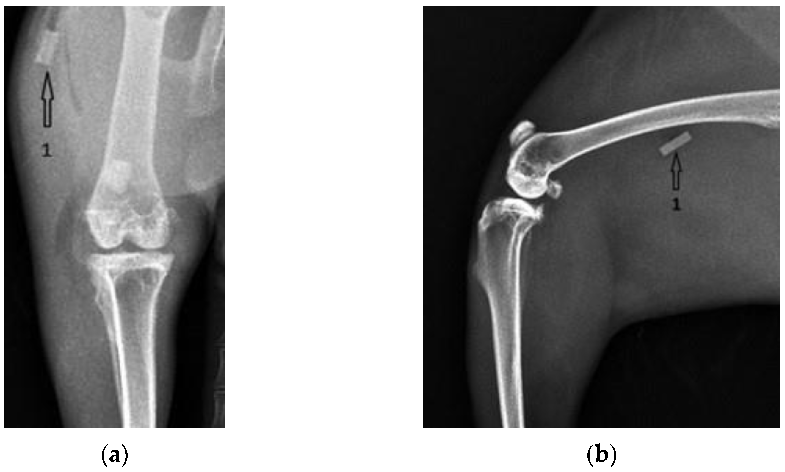 Diagnostics 12 01966 g009