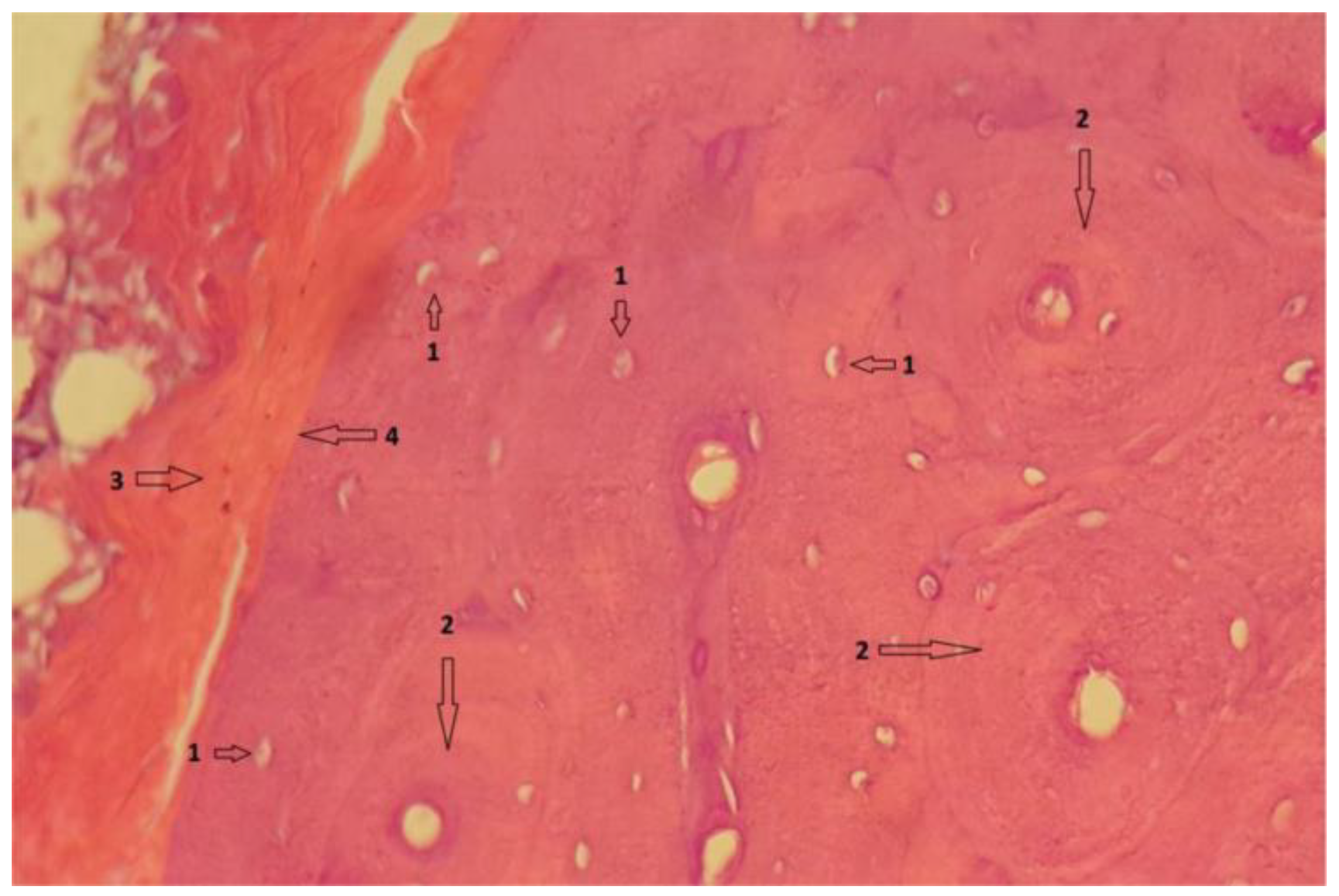 Diagnostics 12 01966 g021