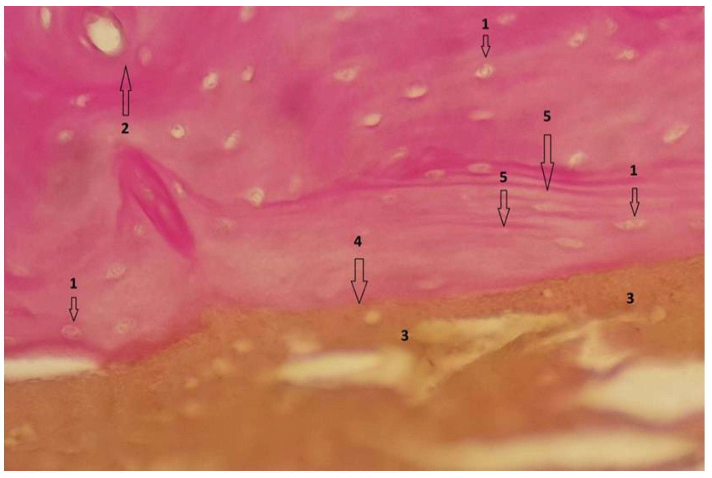 Diagnostics 12 01966 g022