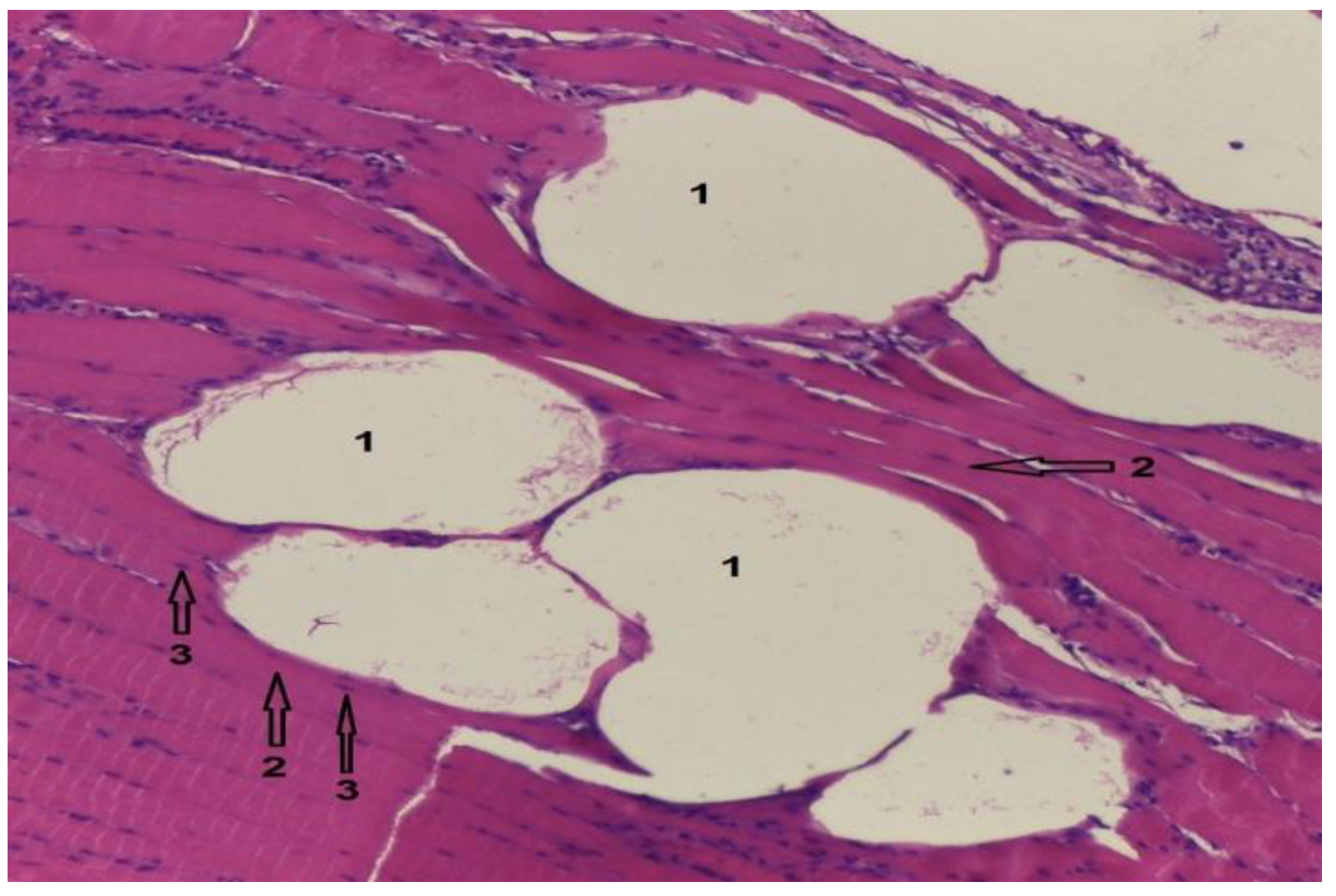 Diagnostics 12 01966 g024