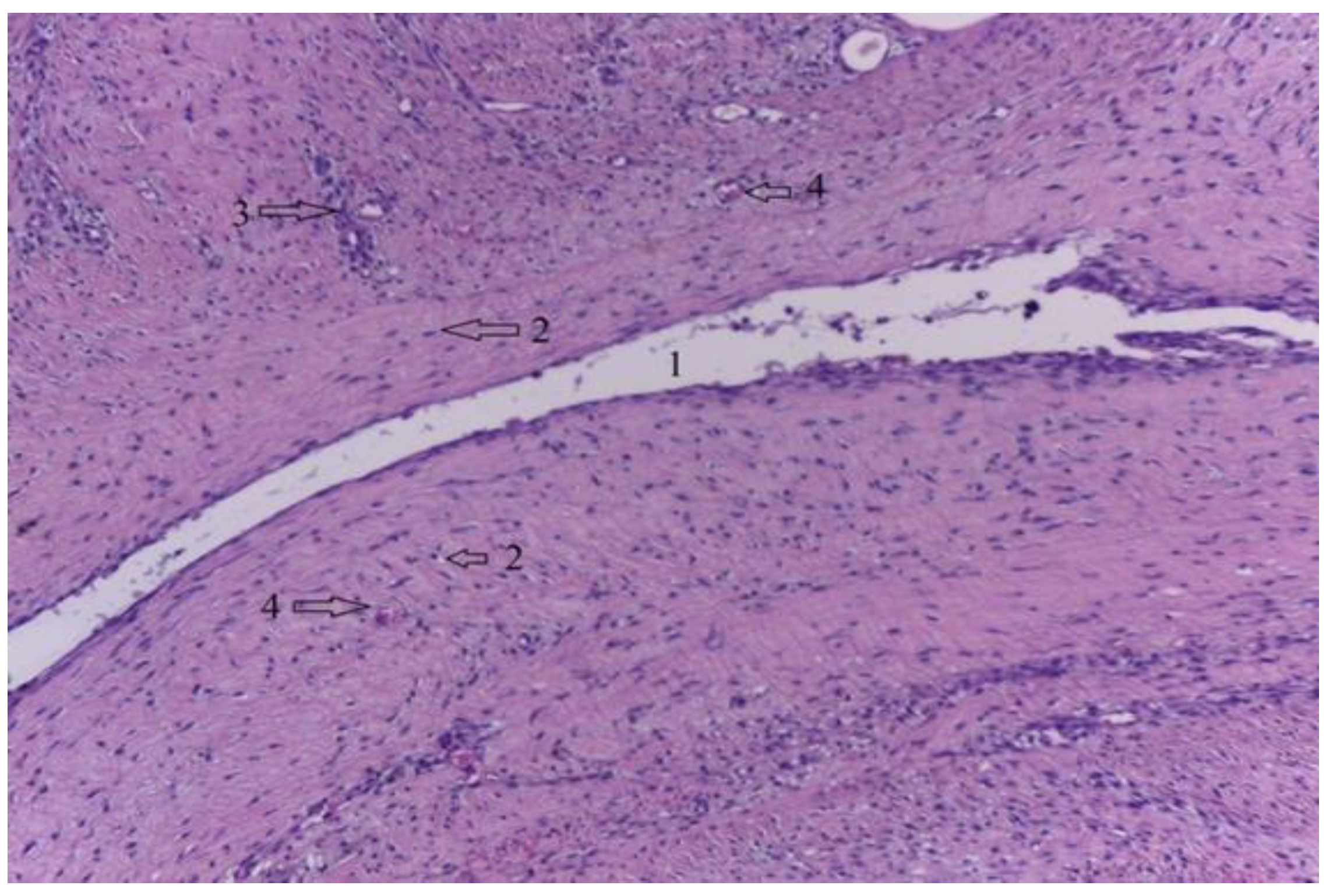 Diagnostics 12 01966 g028