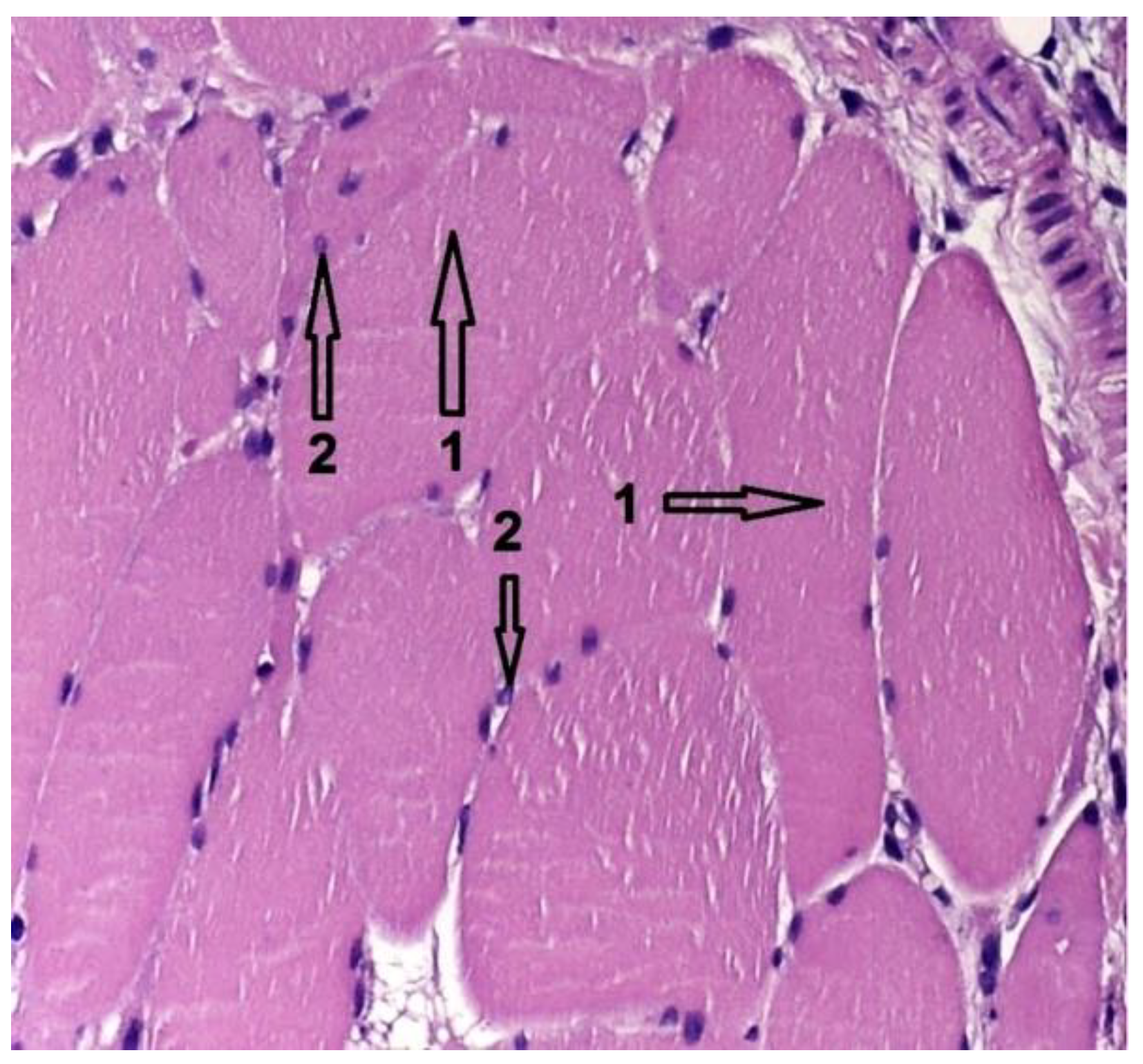 Diagnostics 12 01966 g029