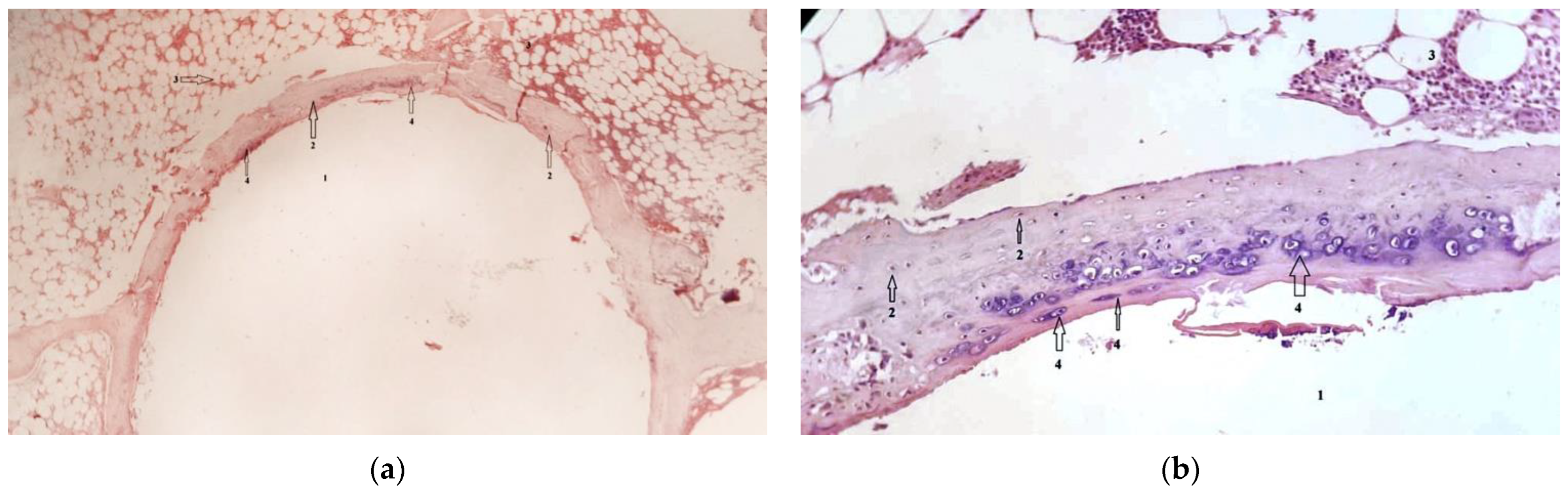 Diagnostics 12 01966 g030