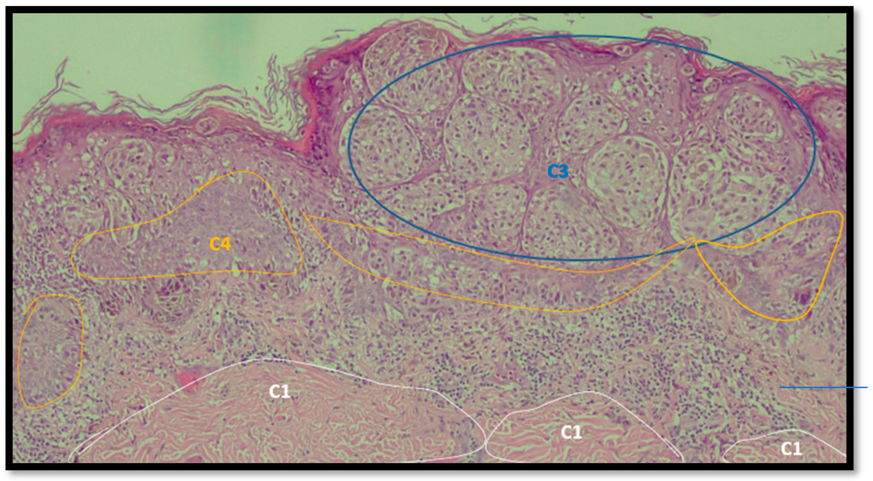 Diagnostics 12 01972 g003 550