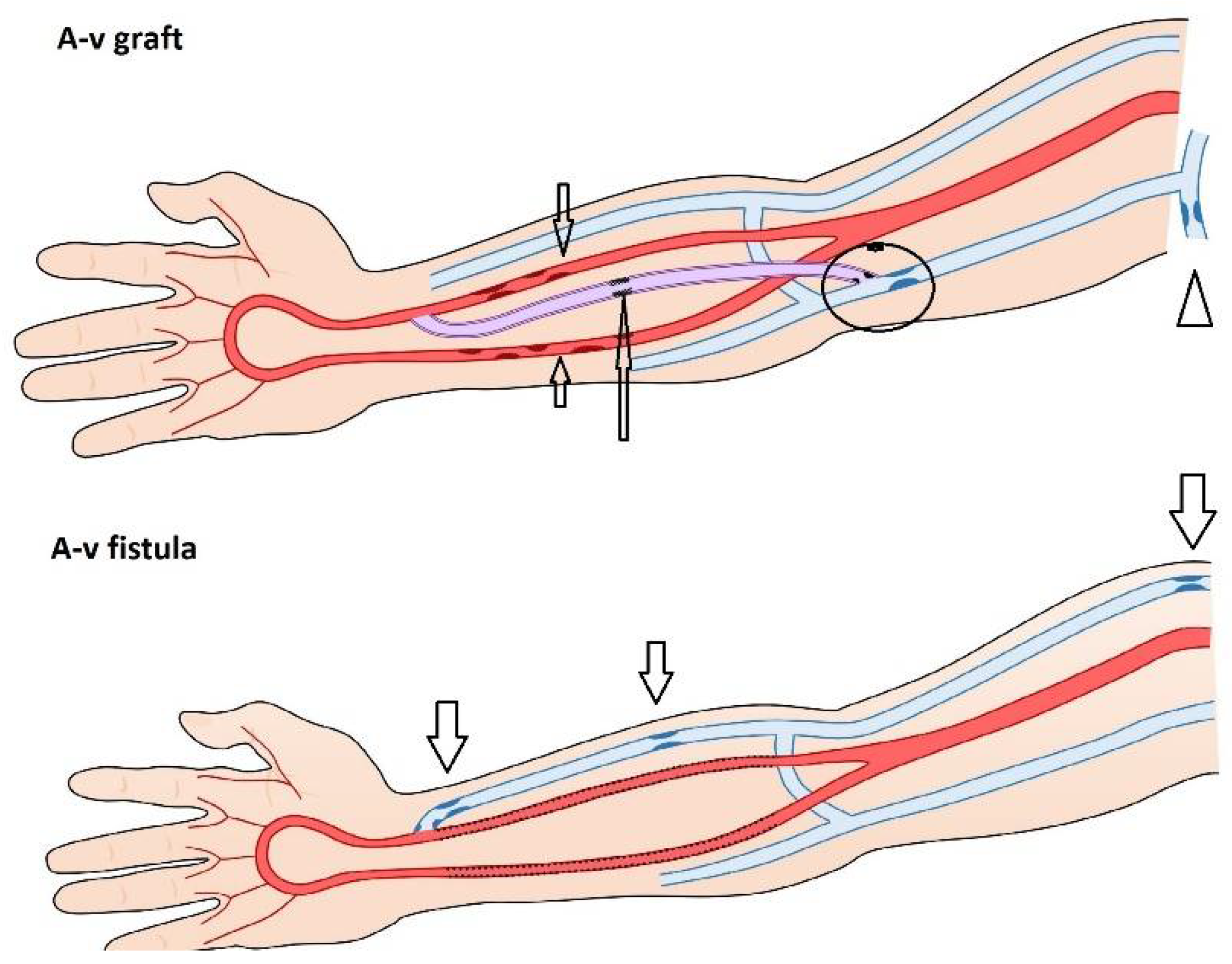 Diagnostics 12 01979 g005