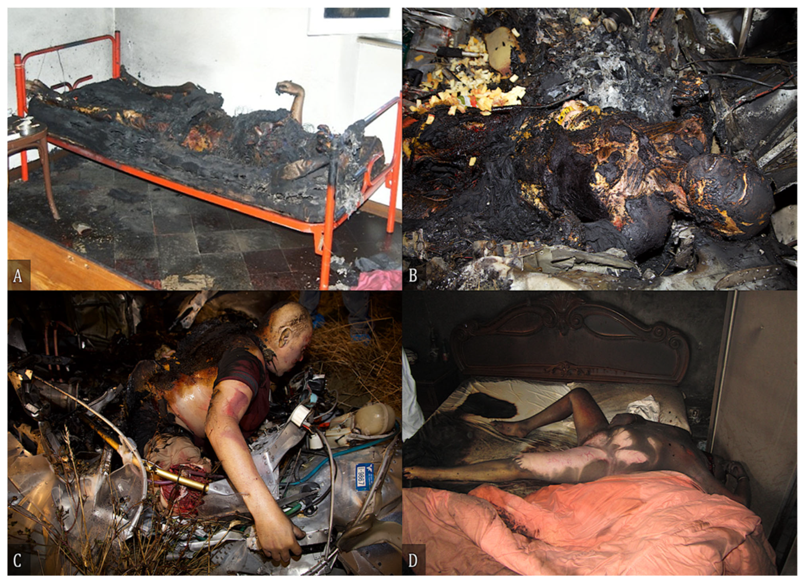 Diagnostics 12 01986 g005