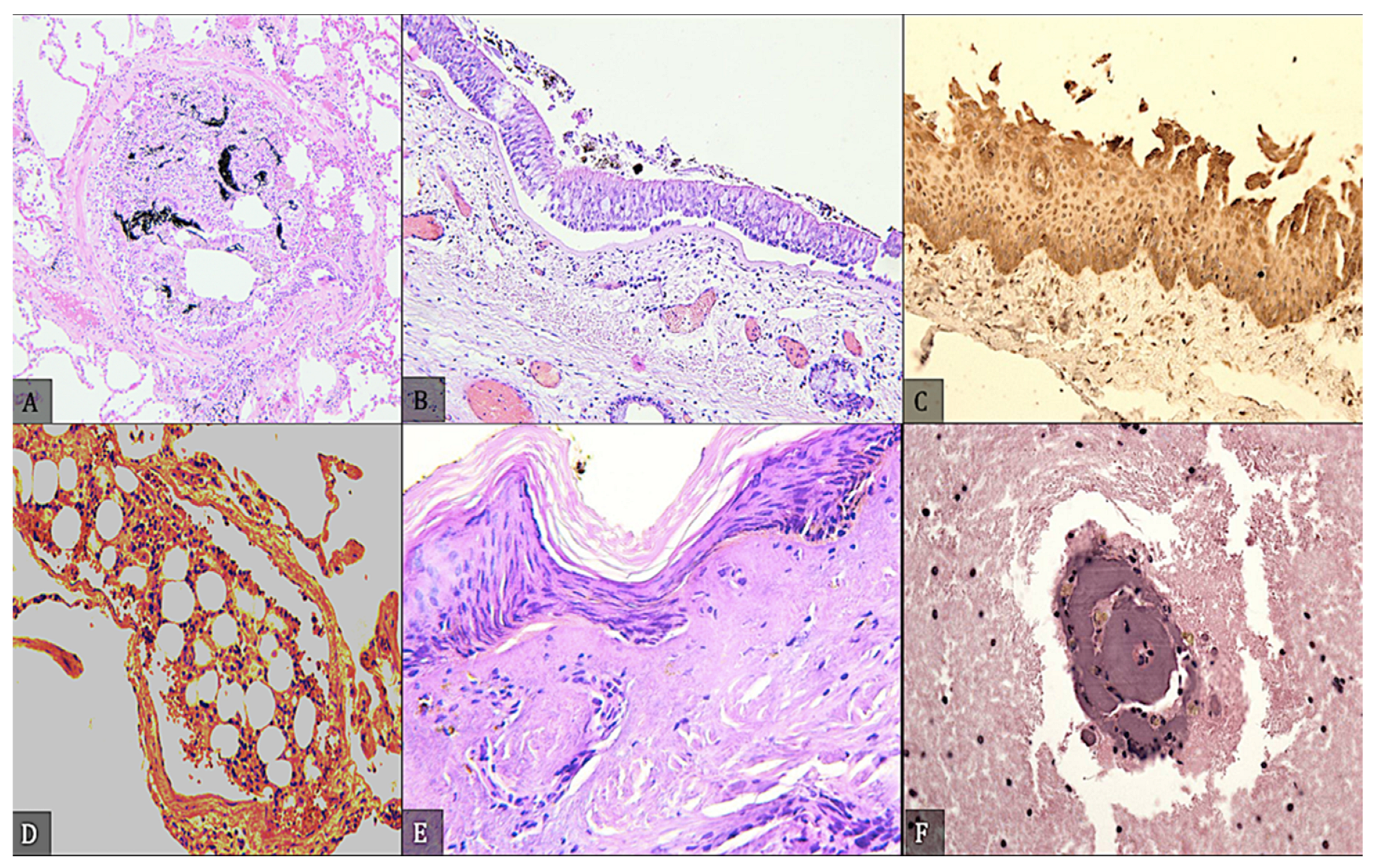 Diagnostics 12 01986 g009