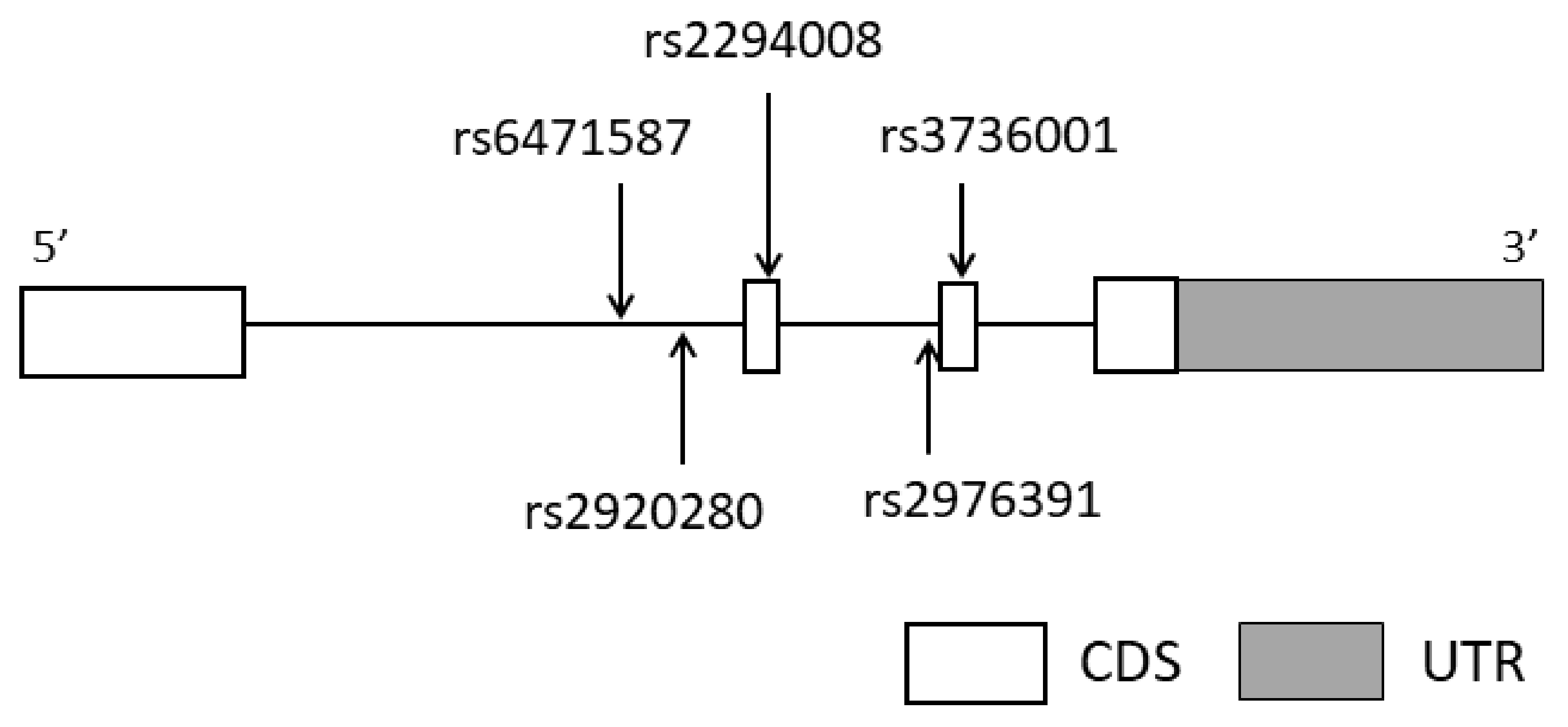 Diagnostics 12 01988 g001 550