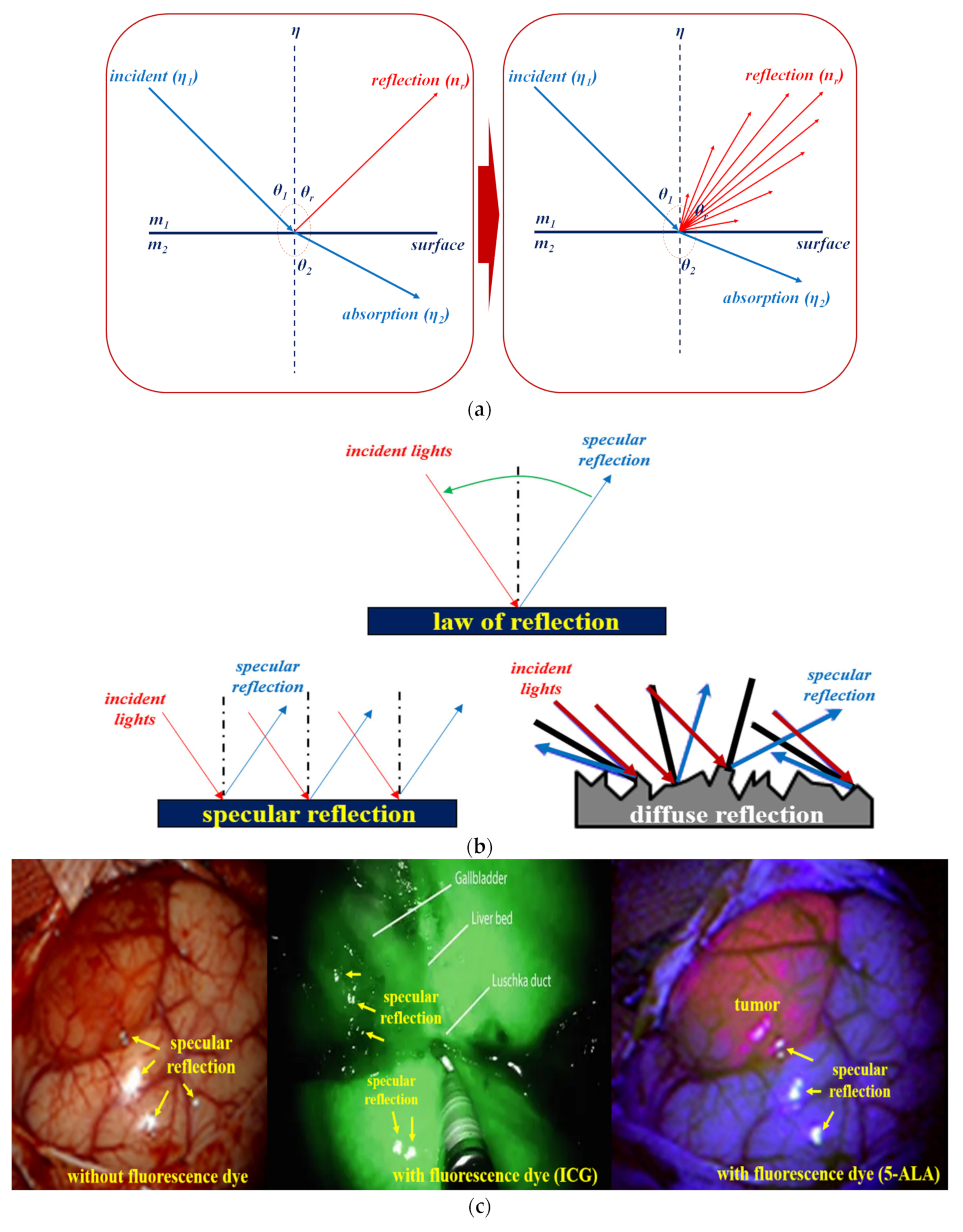 Diagnostics 12 01990 g003 550