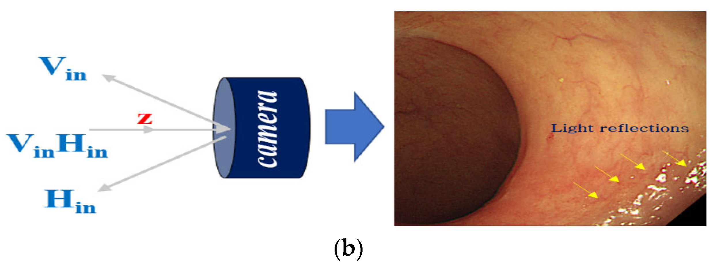 Diagnostics 12 01990 g008b 550