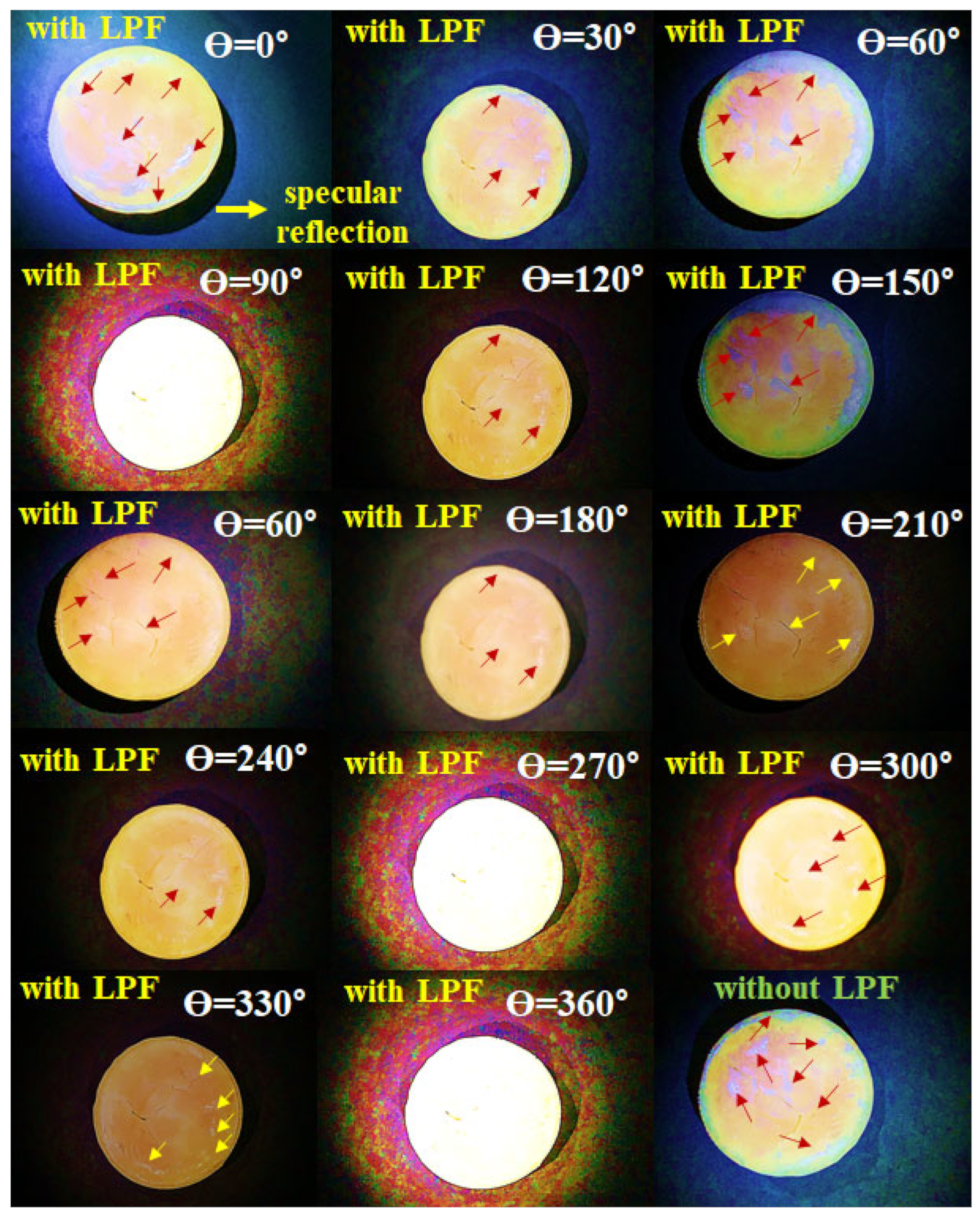Diagnostics 12 01990 g016 550