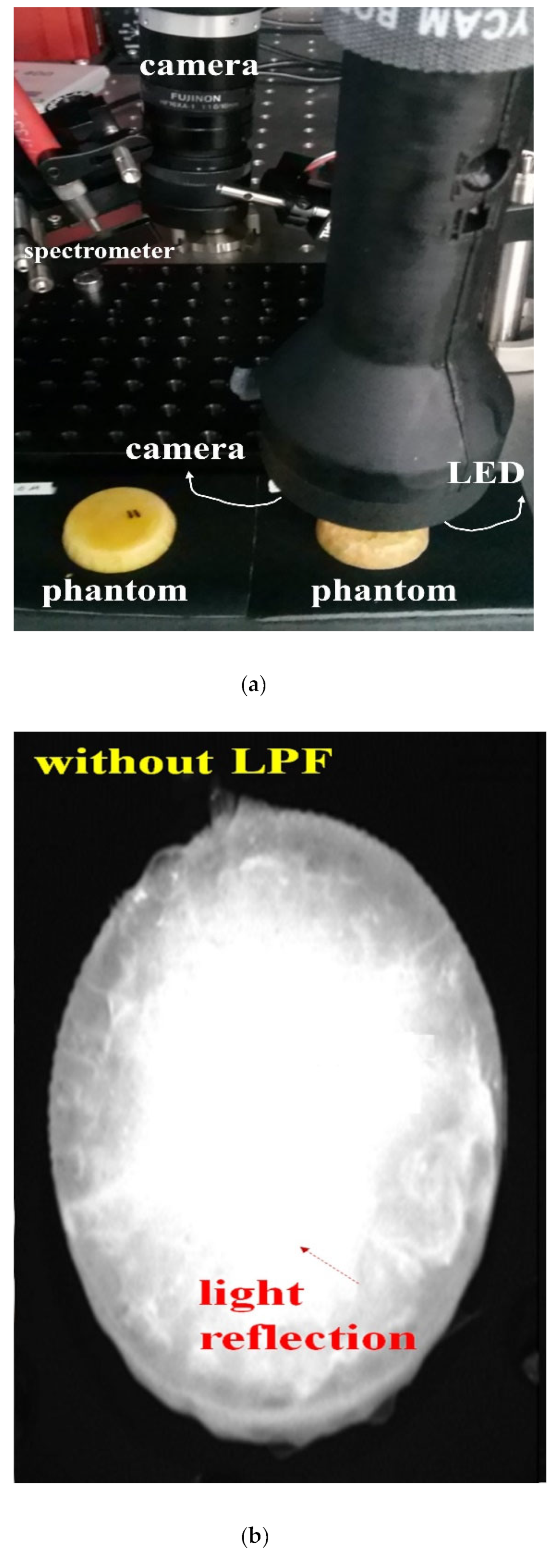 Diagnostics 12 01990 g018a 550