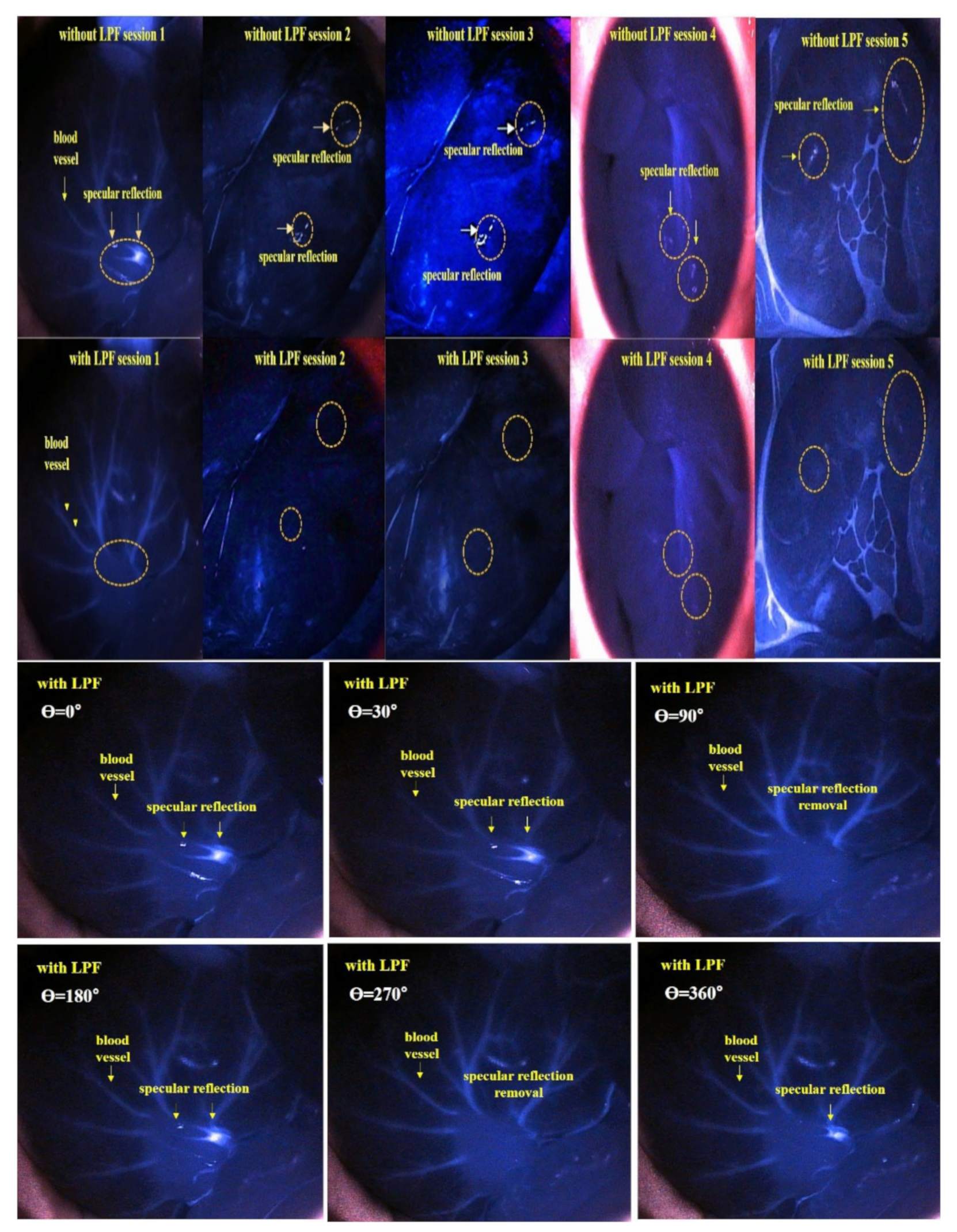 Diagnostics 12 01990 g021 550