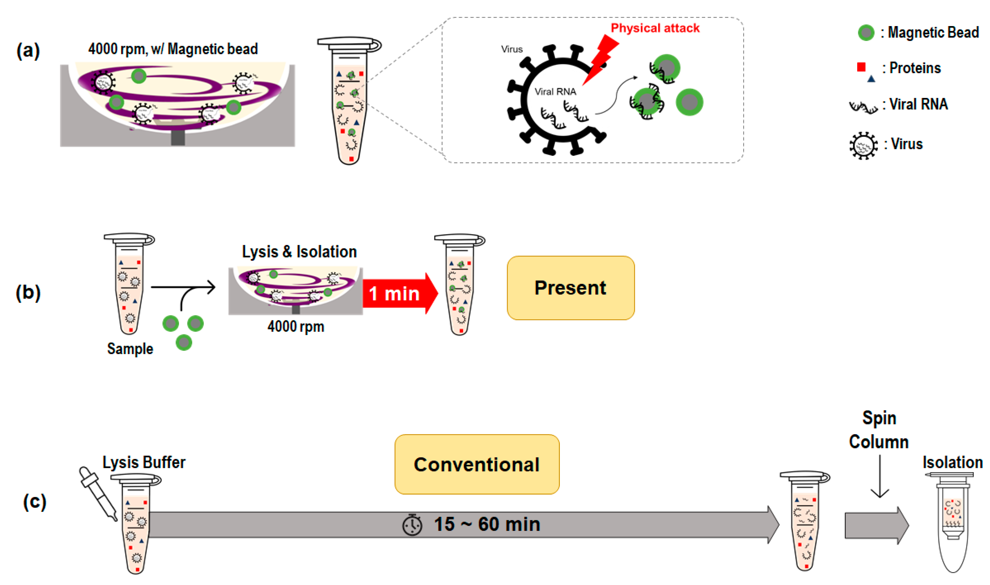 Rapid Extraction of Viral Nucleic Acids Using Rotating Blade Lysis and Magnetic Beads