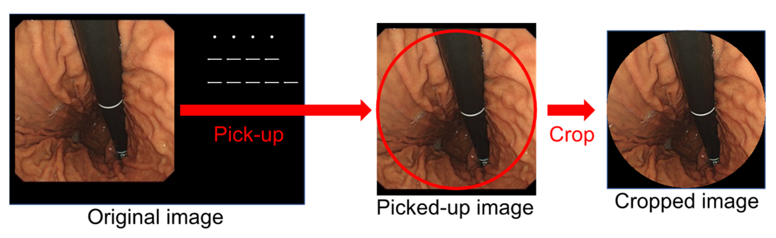 Diagnostics 12 01996 g002