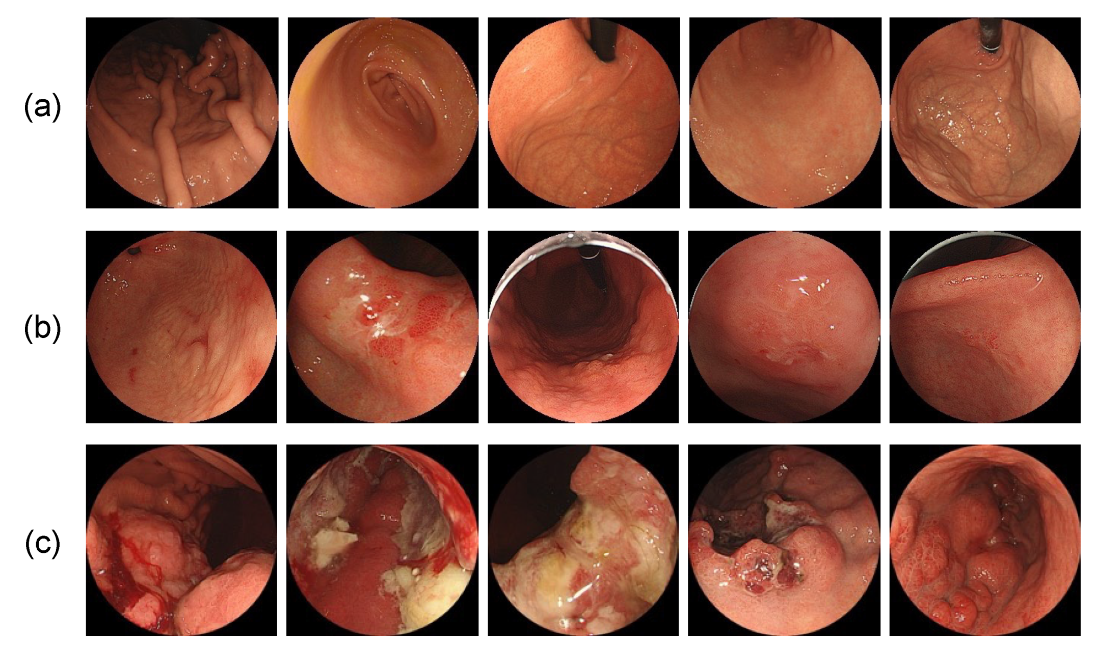 Diagnostics 12 01996 g003