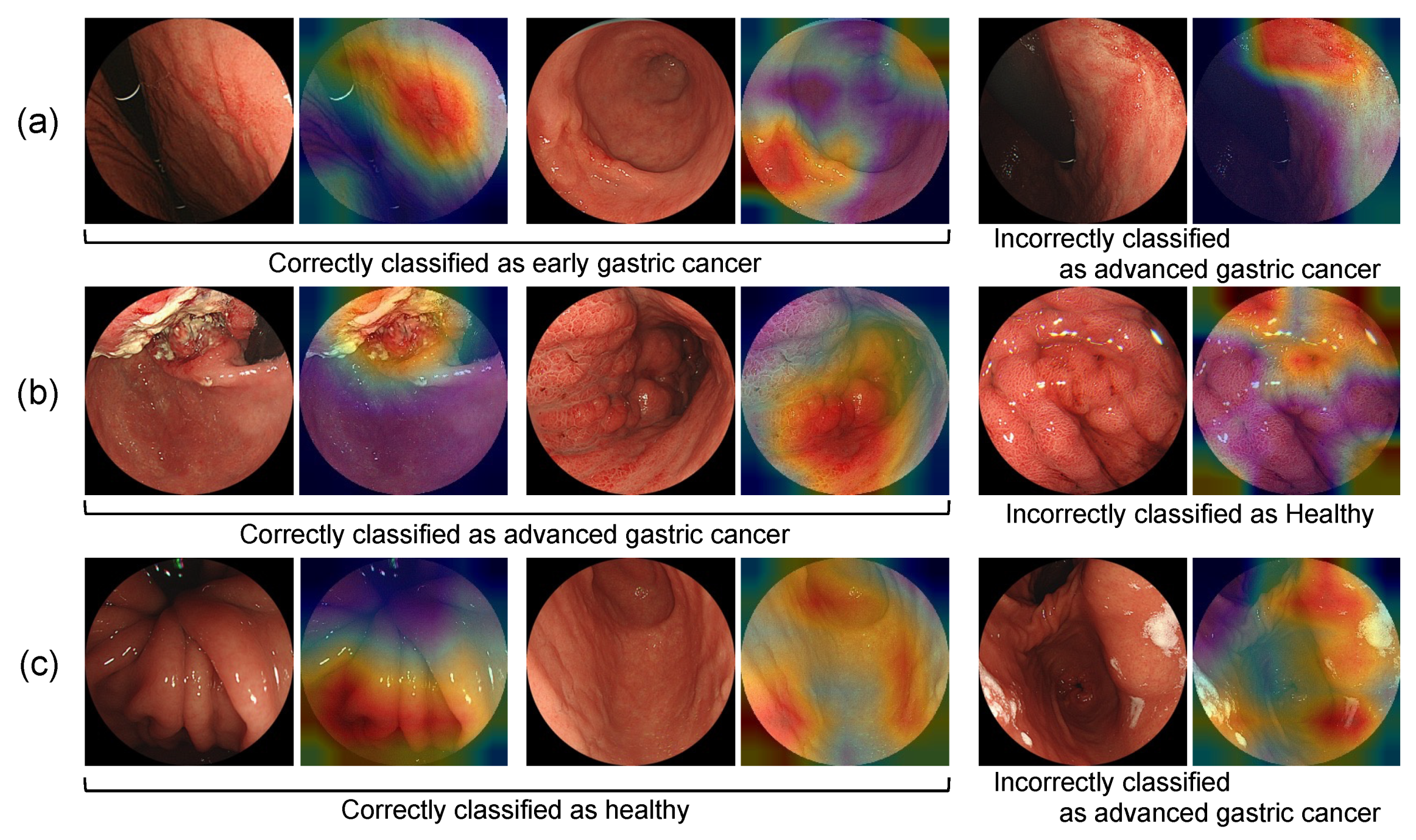 Diagnostics 12 01996 g005