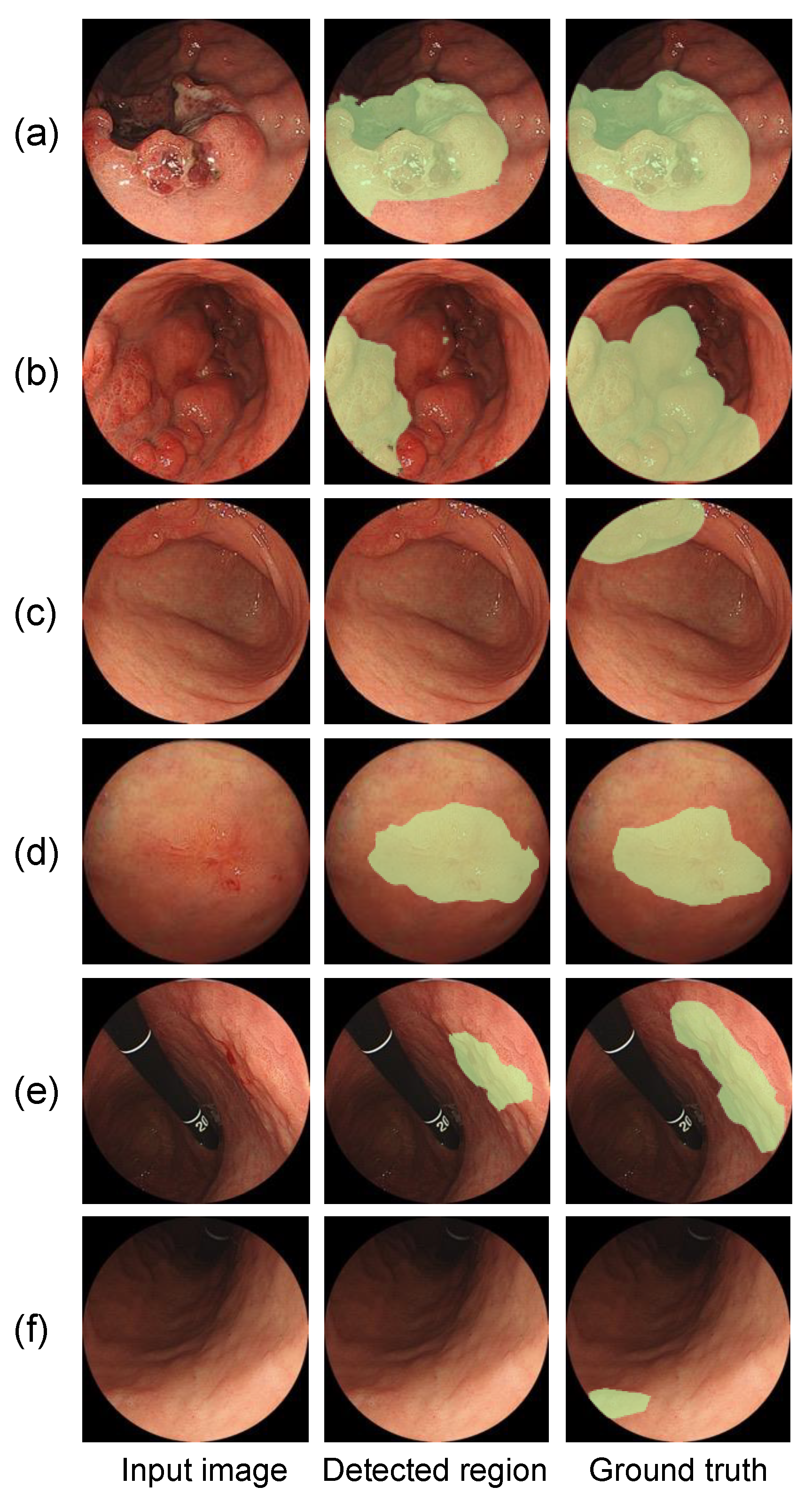Diagnostics 12 01996 g006