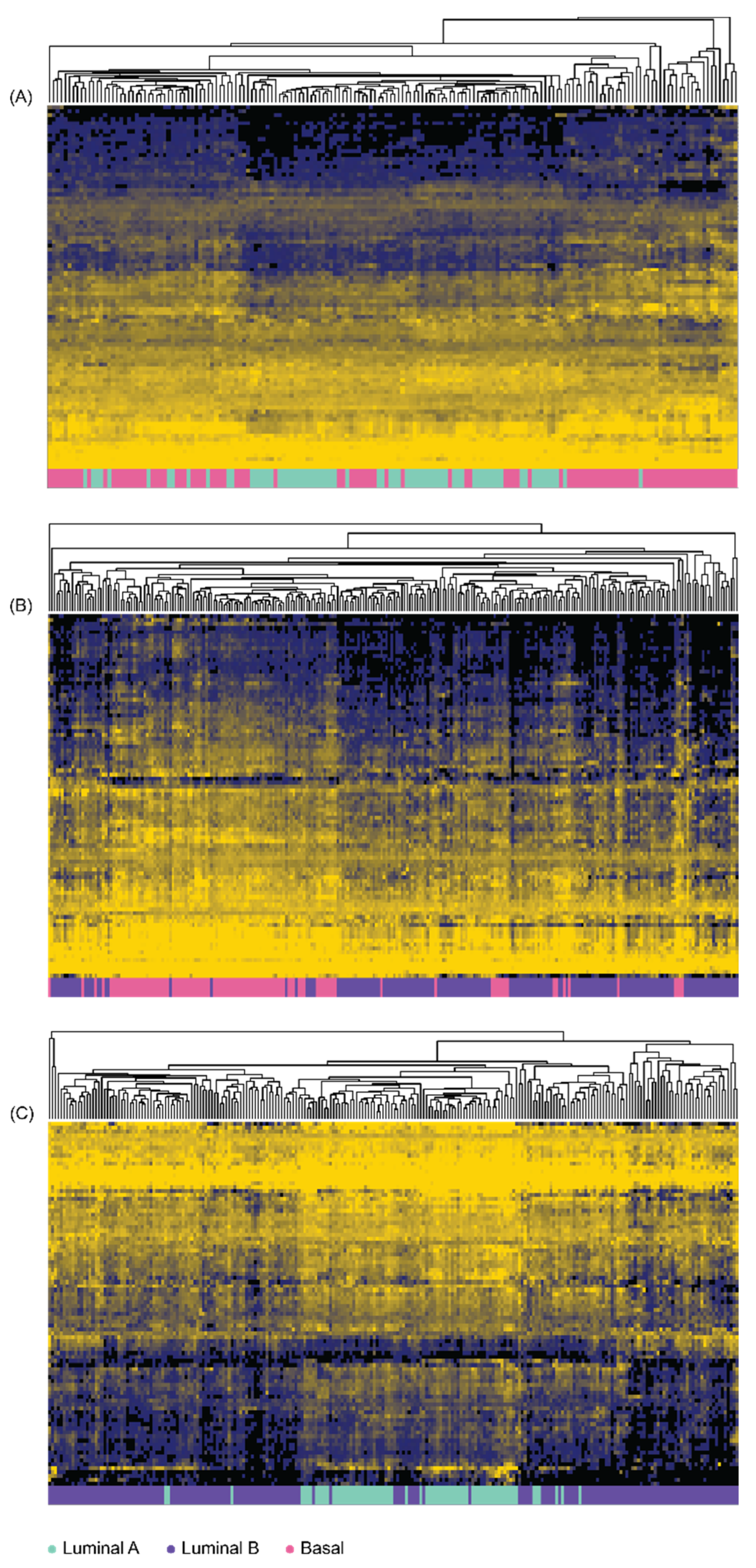 Diagnostics 12 01997 g001 550