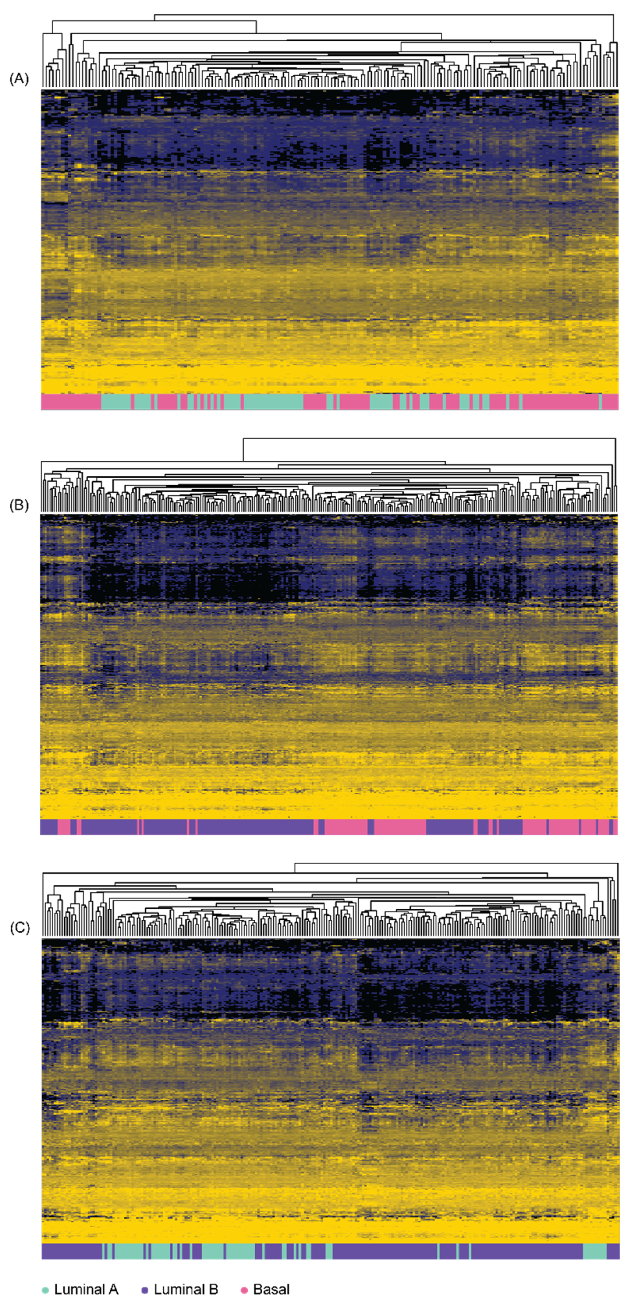 Diagnostics 12 01997 g002 550