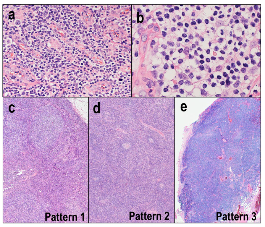 Diagnostics 12 02001 g002