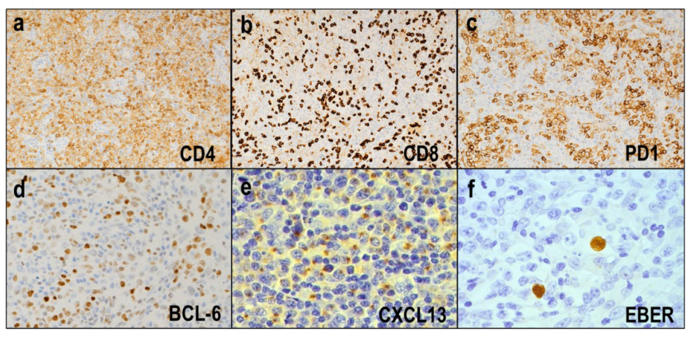 Diagnostics 12 02001 g003
