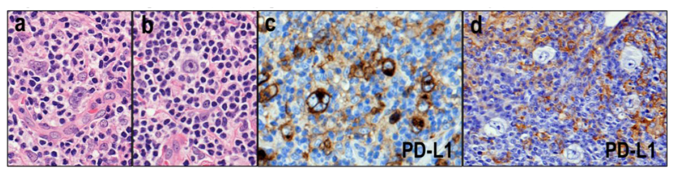 Diagnostics 12 02001 g005