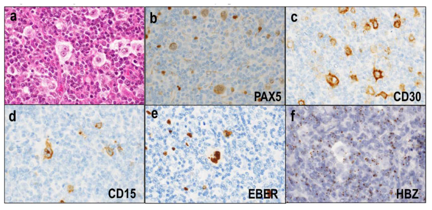 Diagnostics 12 02001 g007