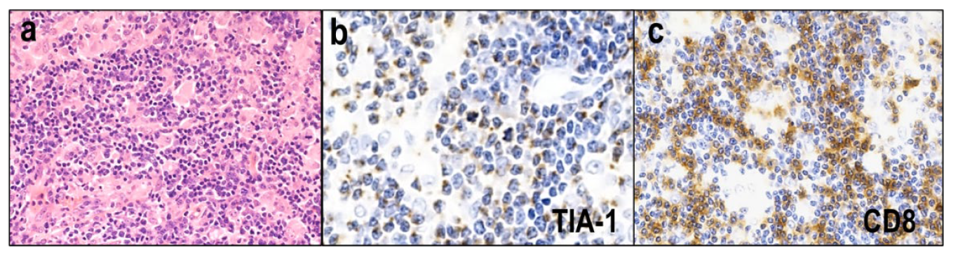 Diagnostics 12 02001 g010