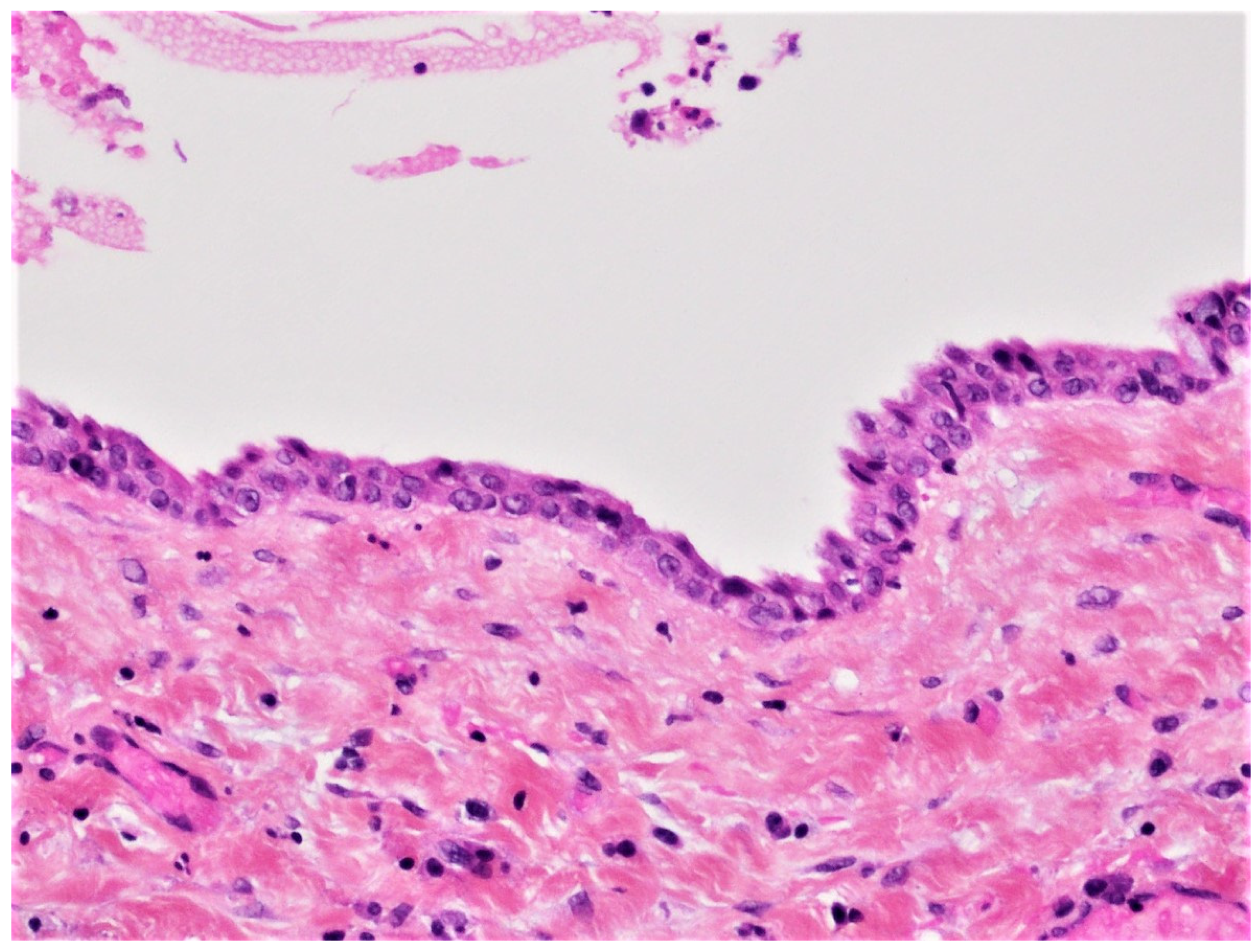 Diagnostics 12 02006 g003 550