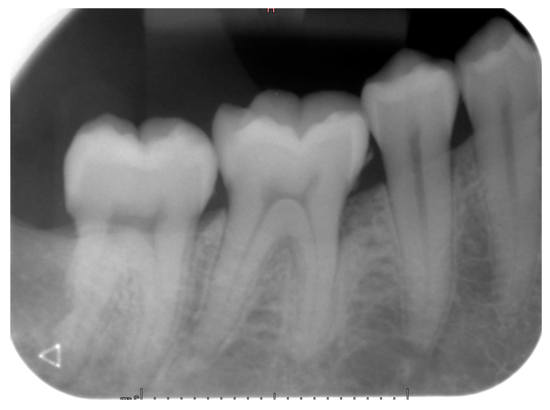 Diagnostics 12 02006 g007 550