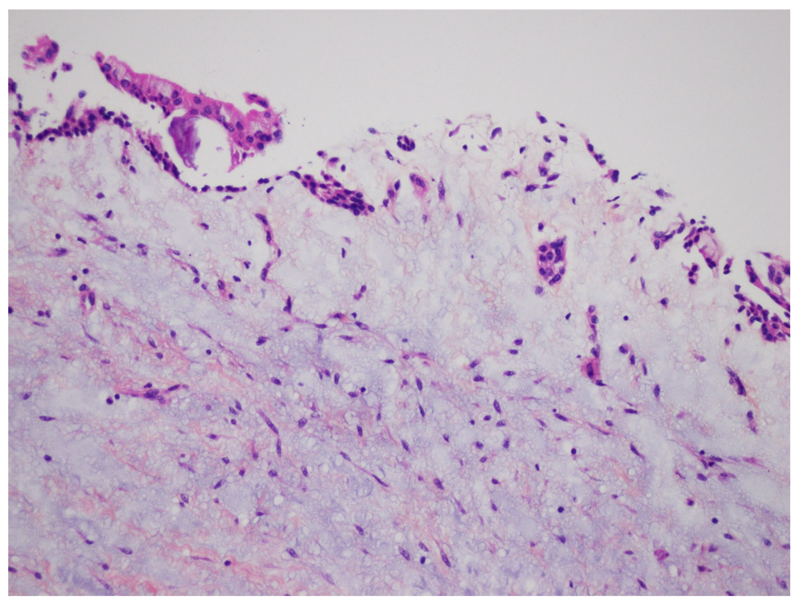 Diagnostics 12 02006 g014 550