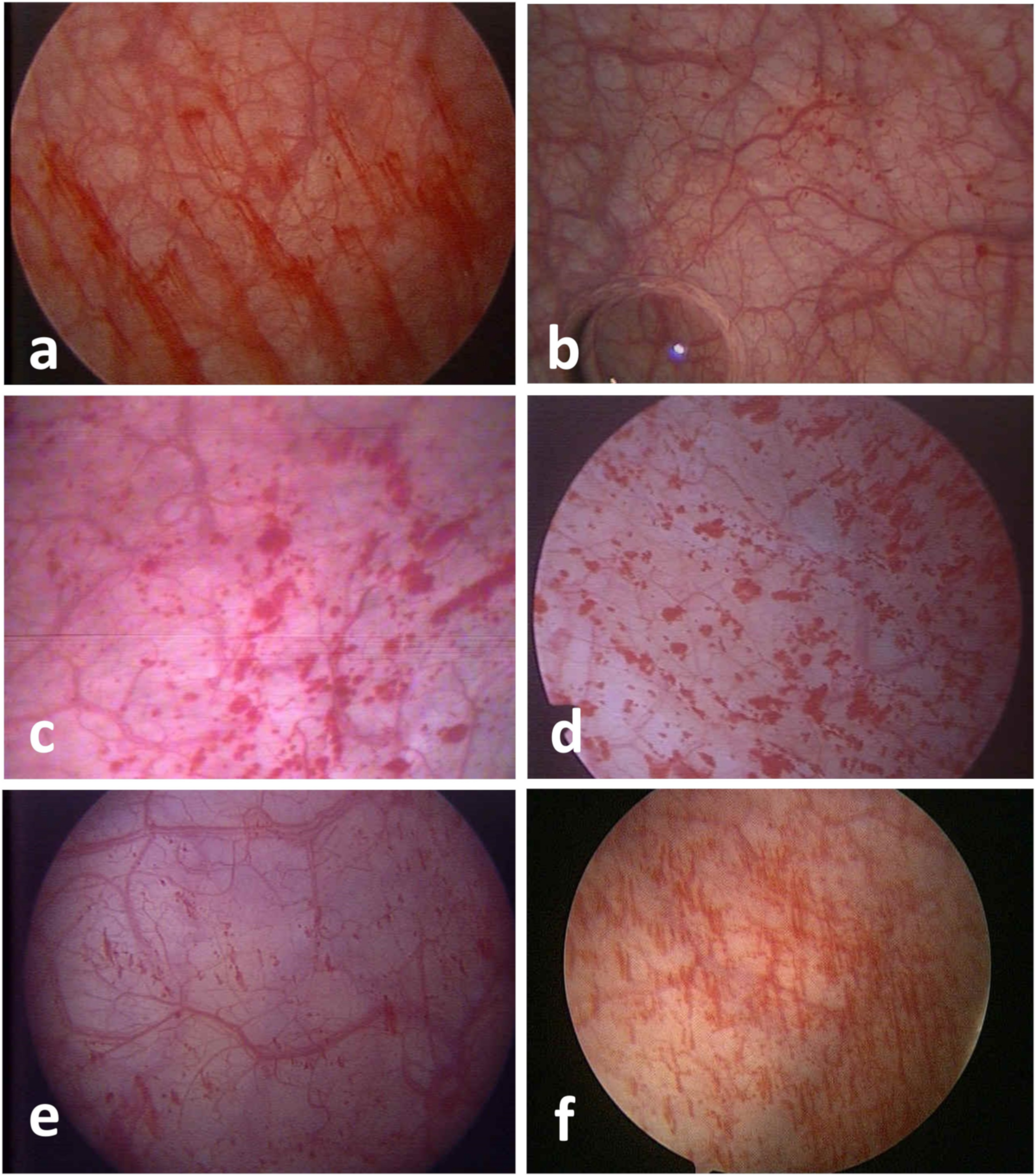 Diagnostics 12 02009 g001