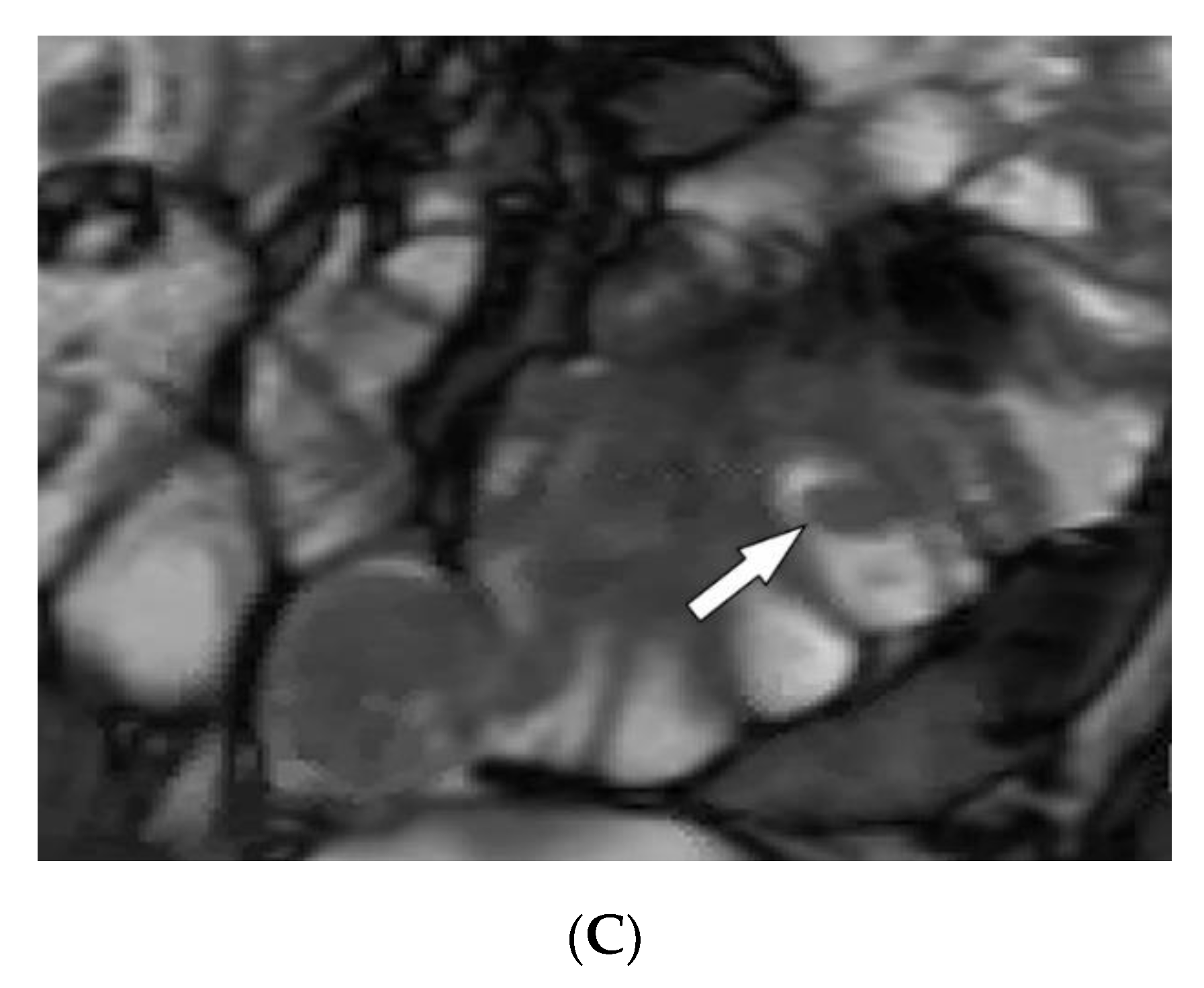 Diagnostics 12 02011 g019b Diagnostics 12 02011 g019b