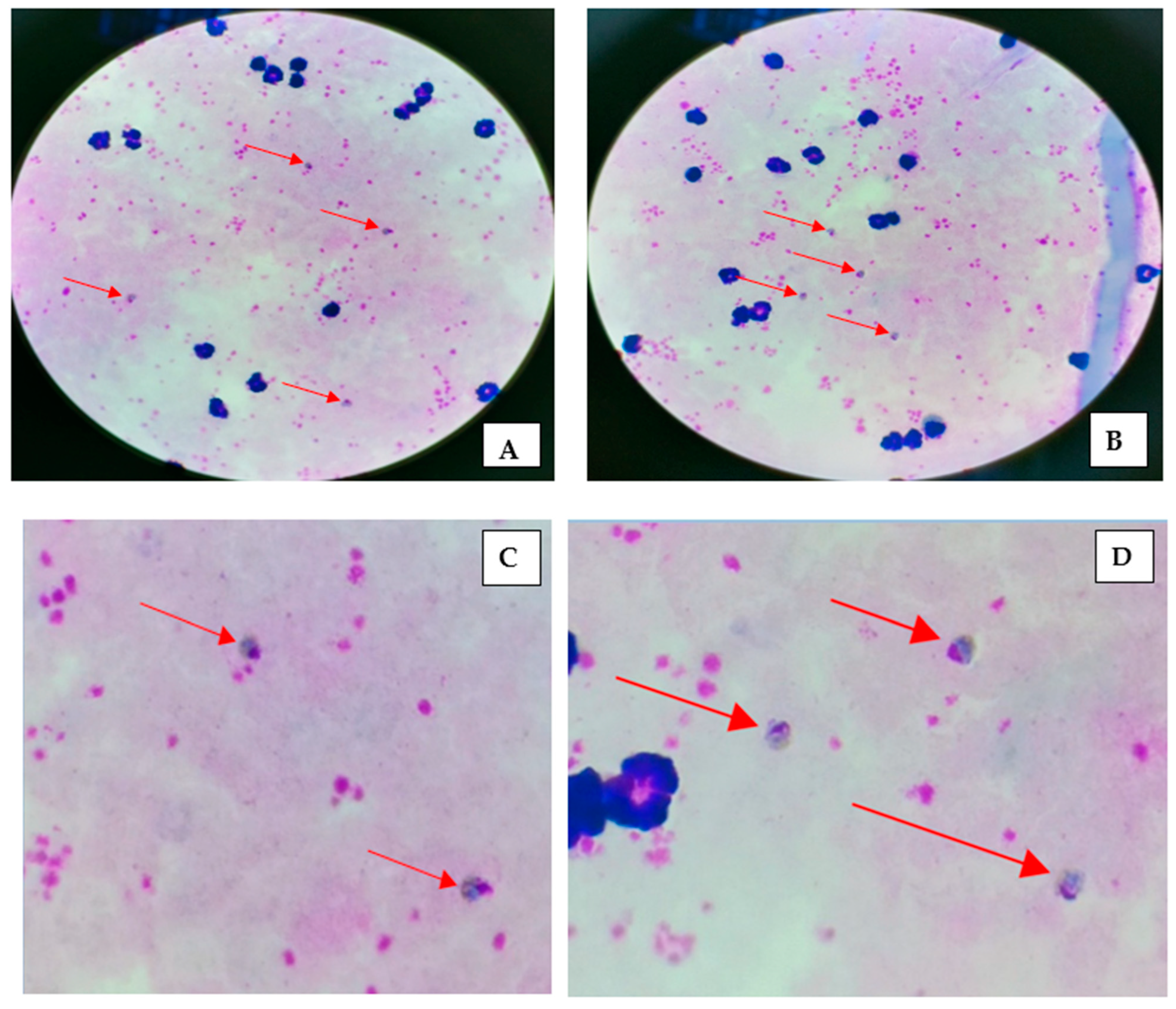 Diagnostics 12 02015 g003