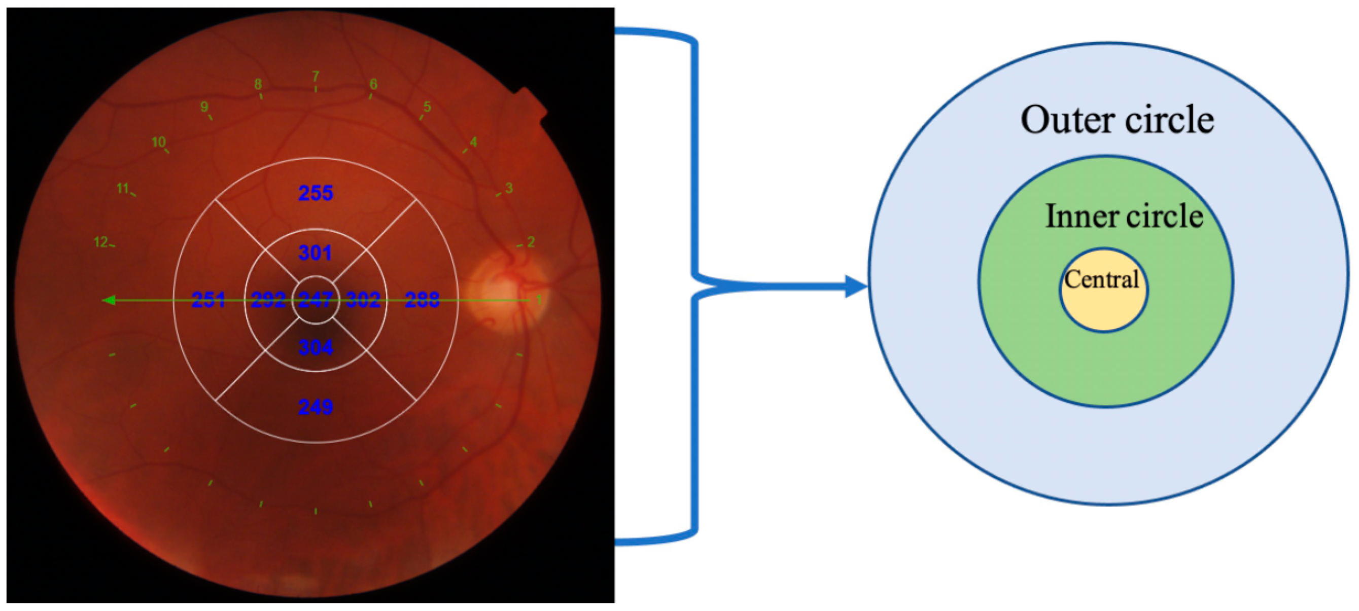 Diagnostics 12 02016 g001