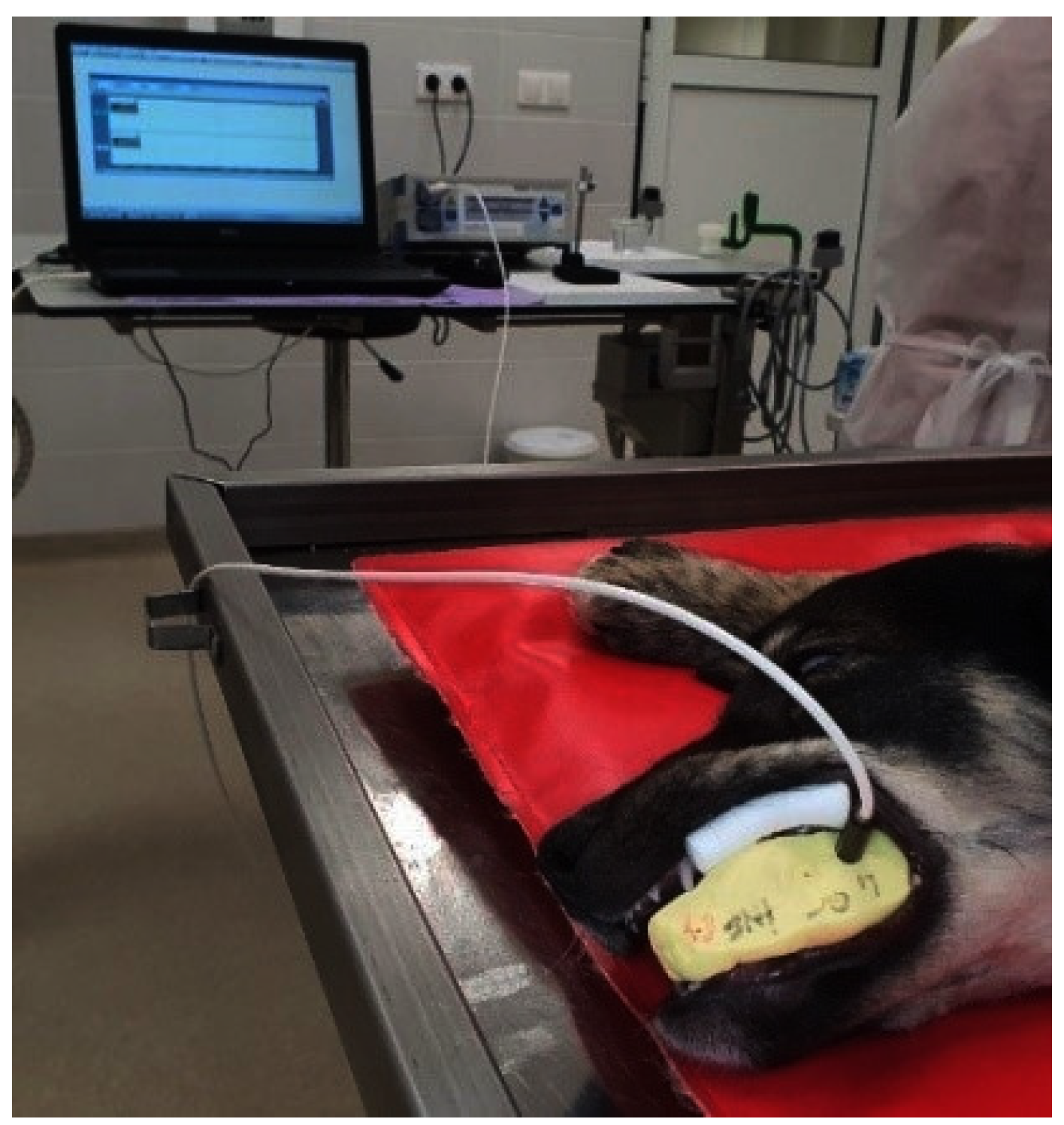 Diagnostics 12 02022 g002