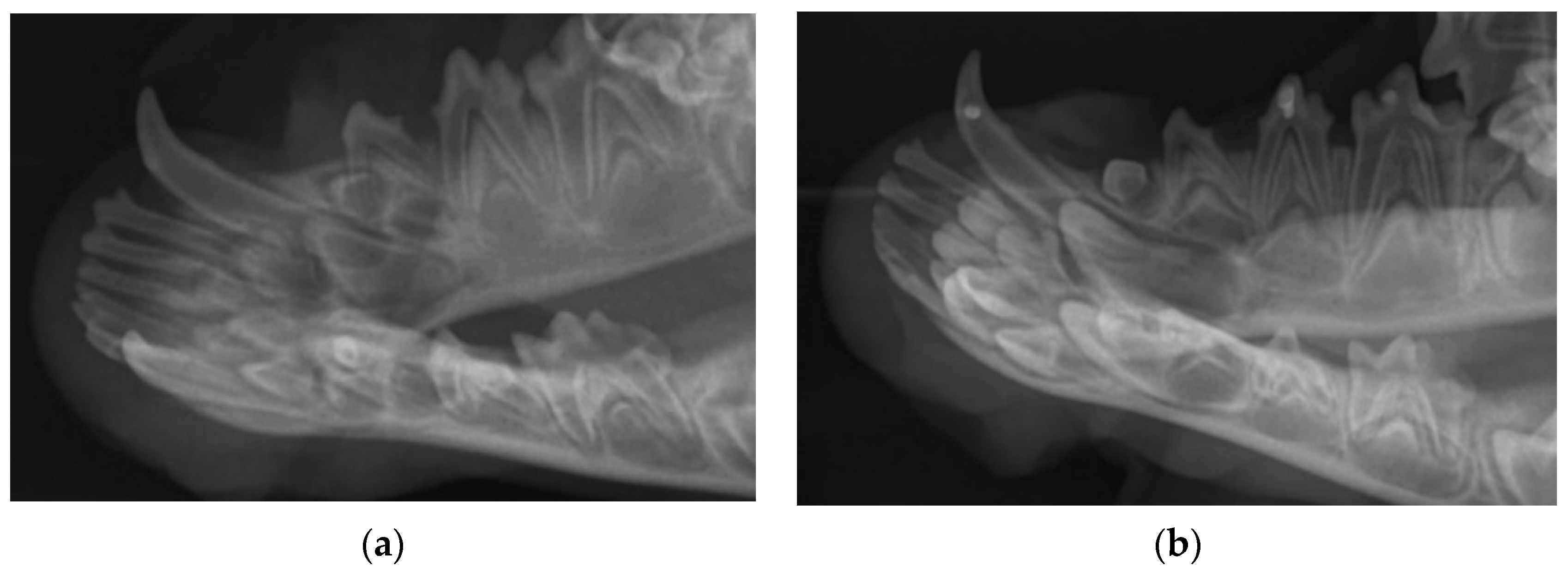 Diagnostics 12 02022 g004