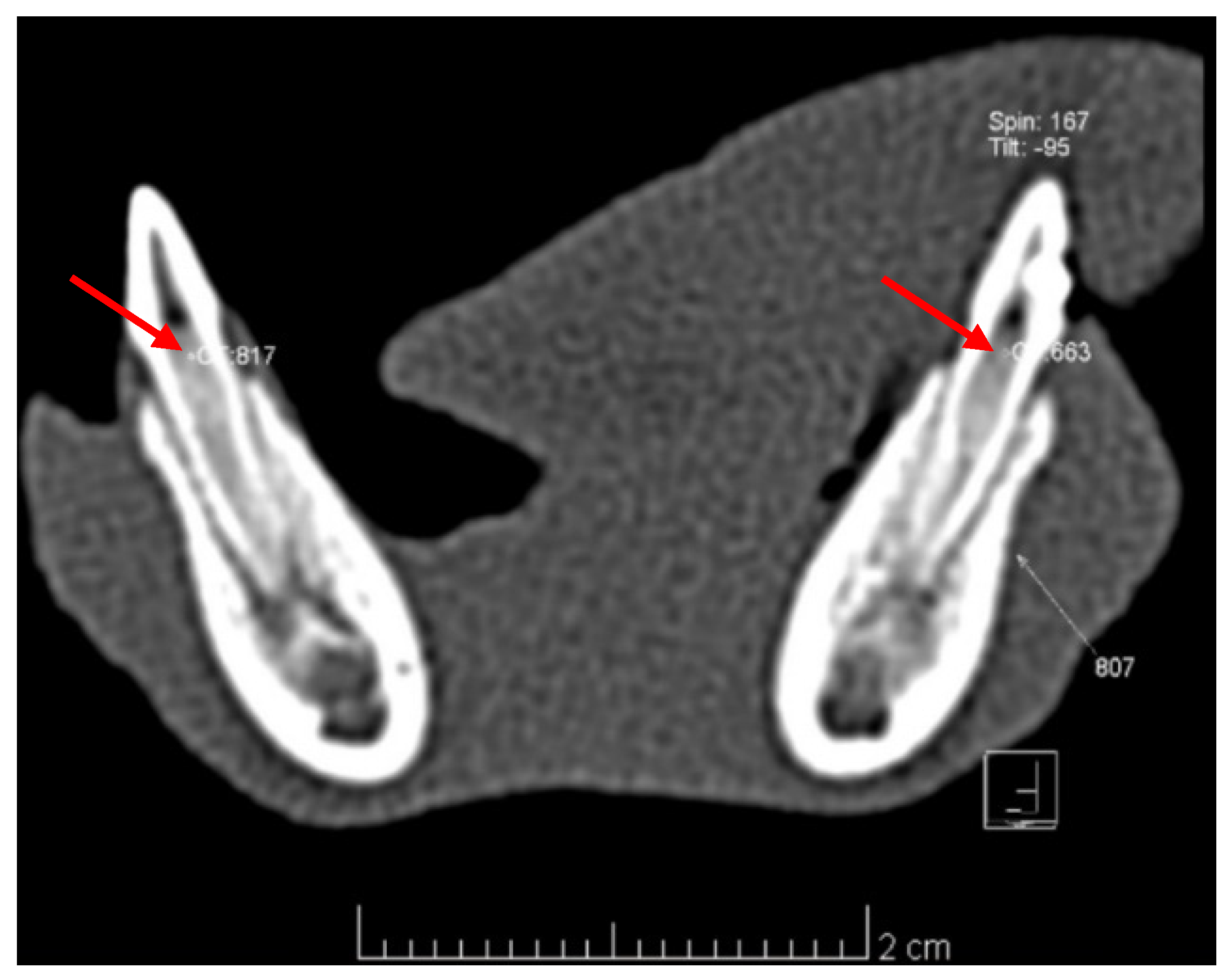 Diagnostics 12 02022 g005