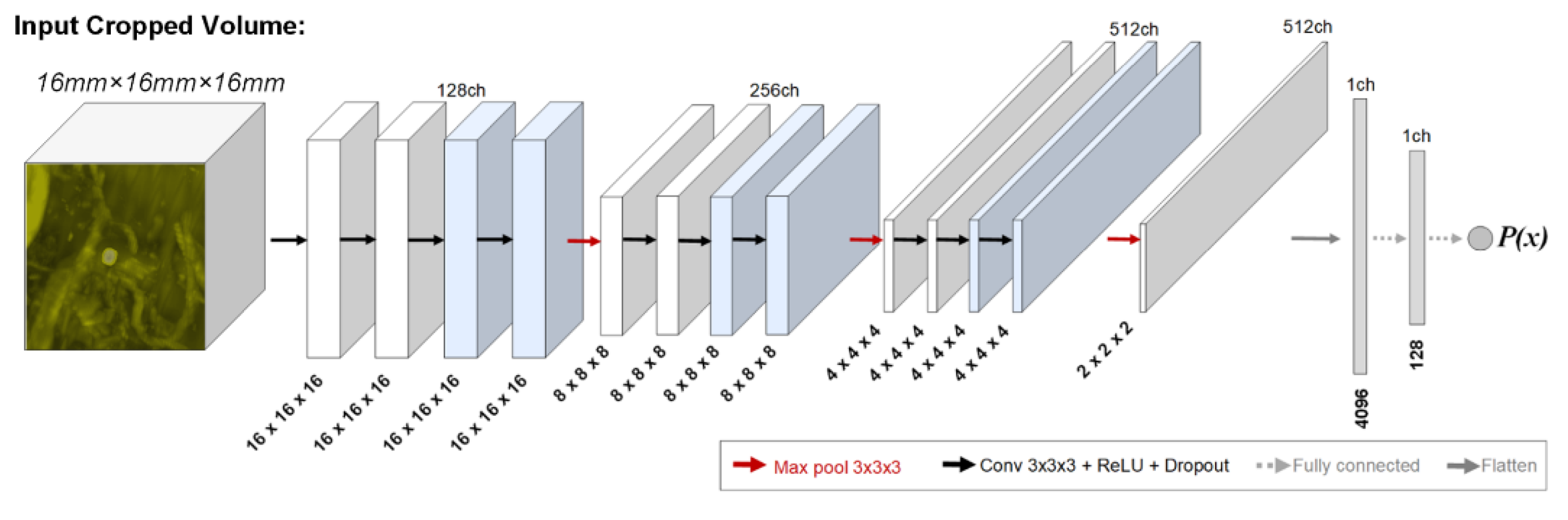 Diagnostics 12 02023 g002