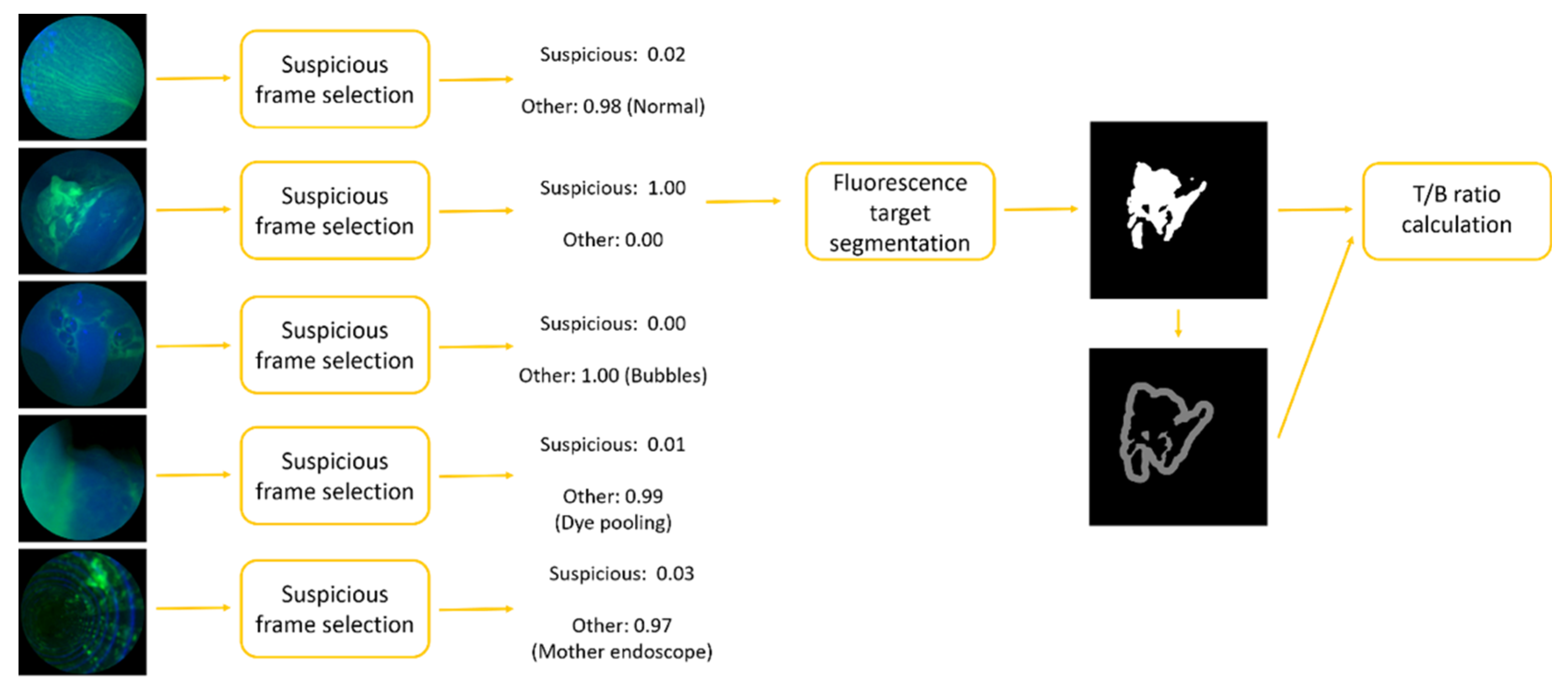 Diagnostics 12 02031 g001