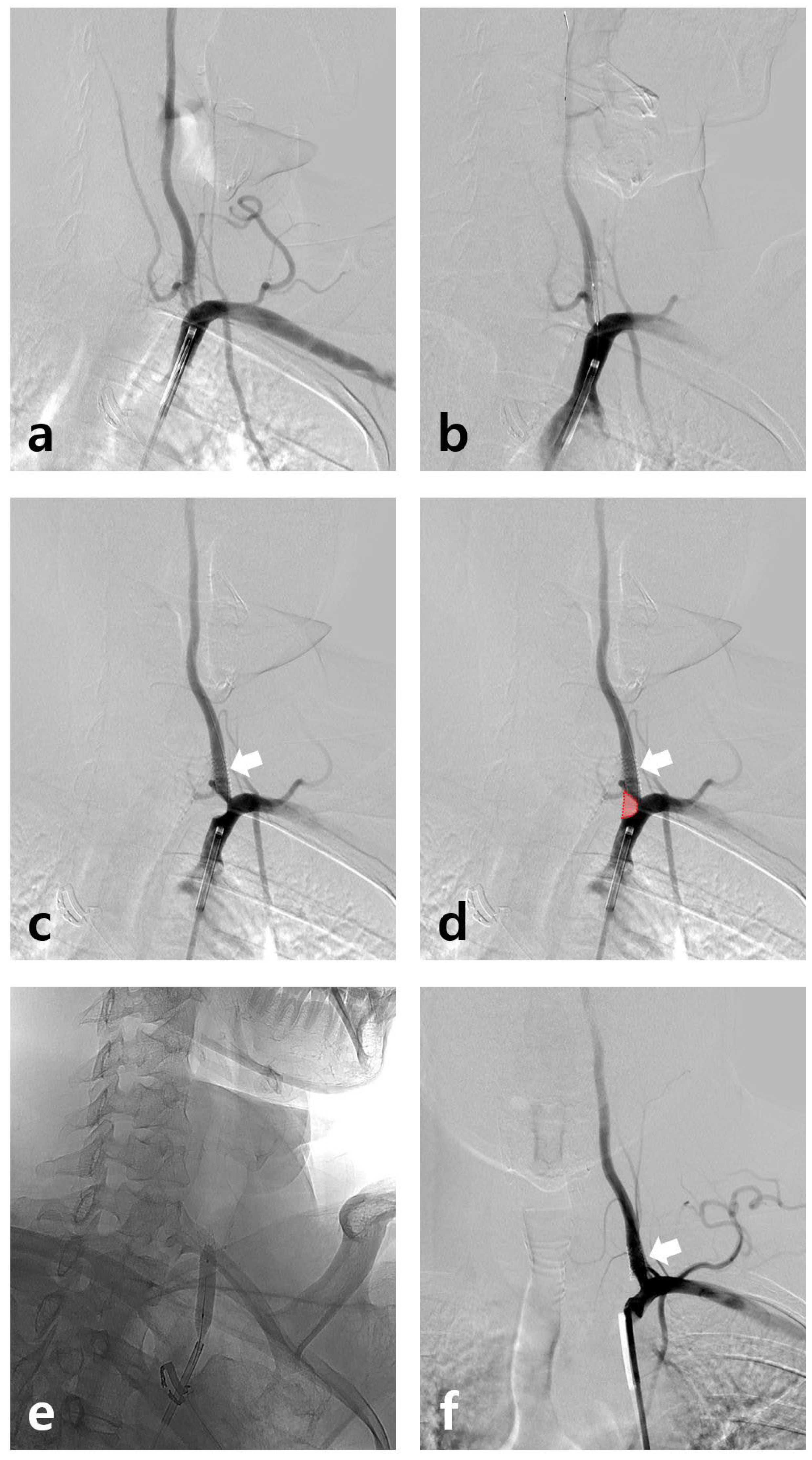 Diagnostics 12 02038 g001