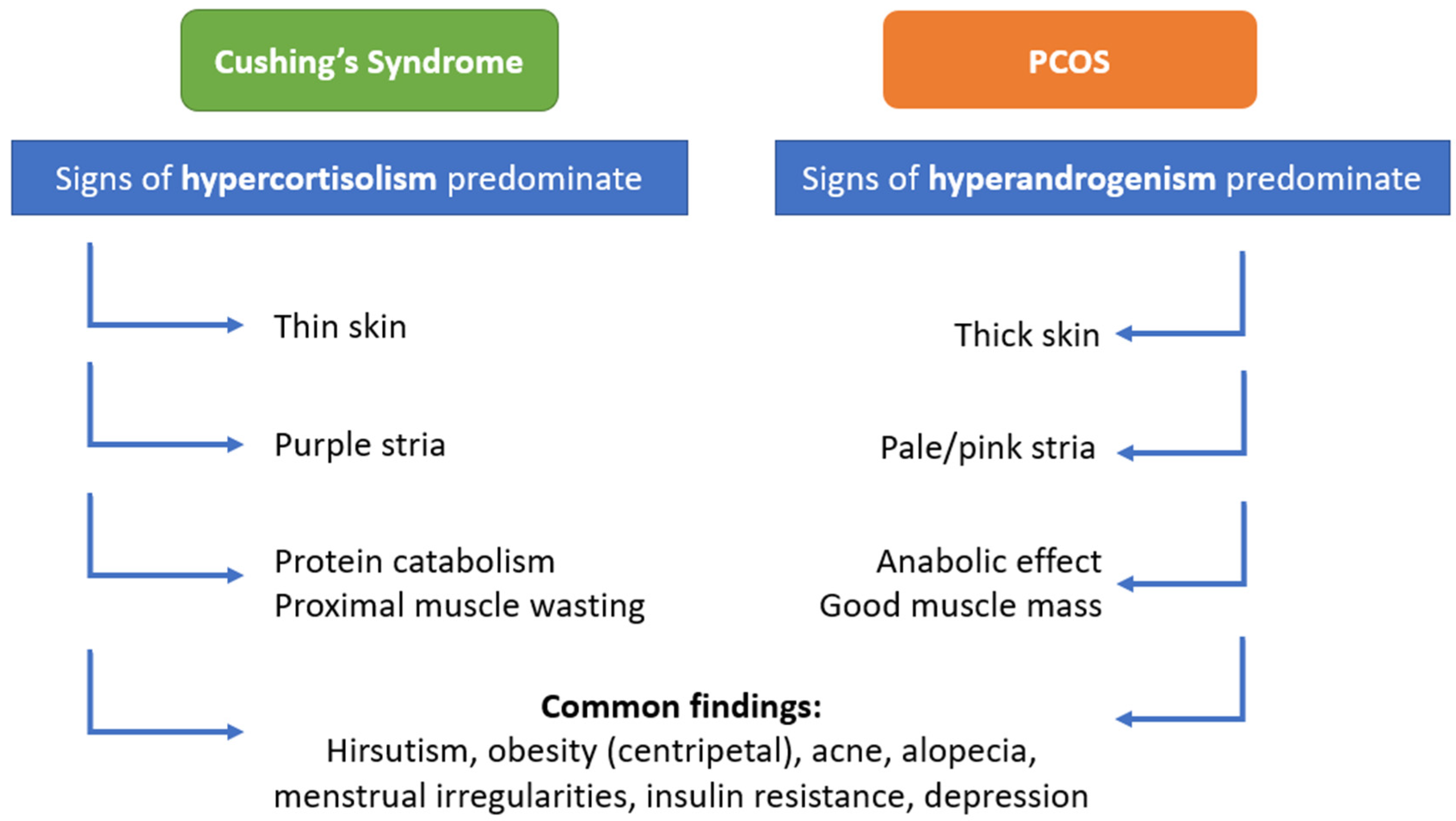 Diagnostics Free FullText Differentiating Polycystic Ovary