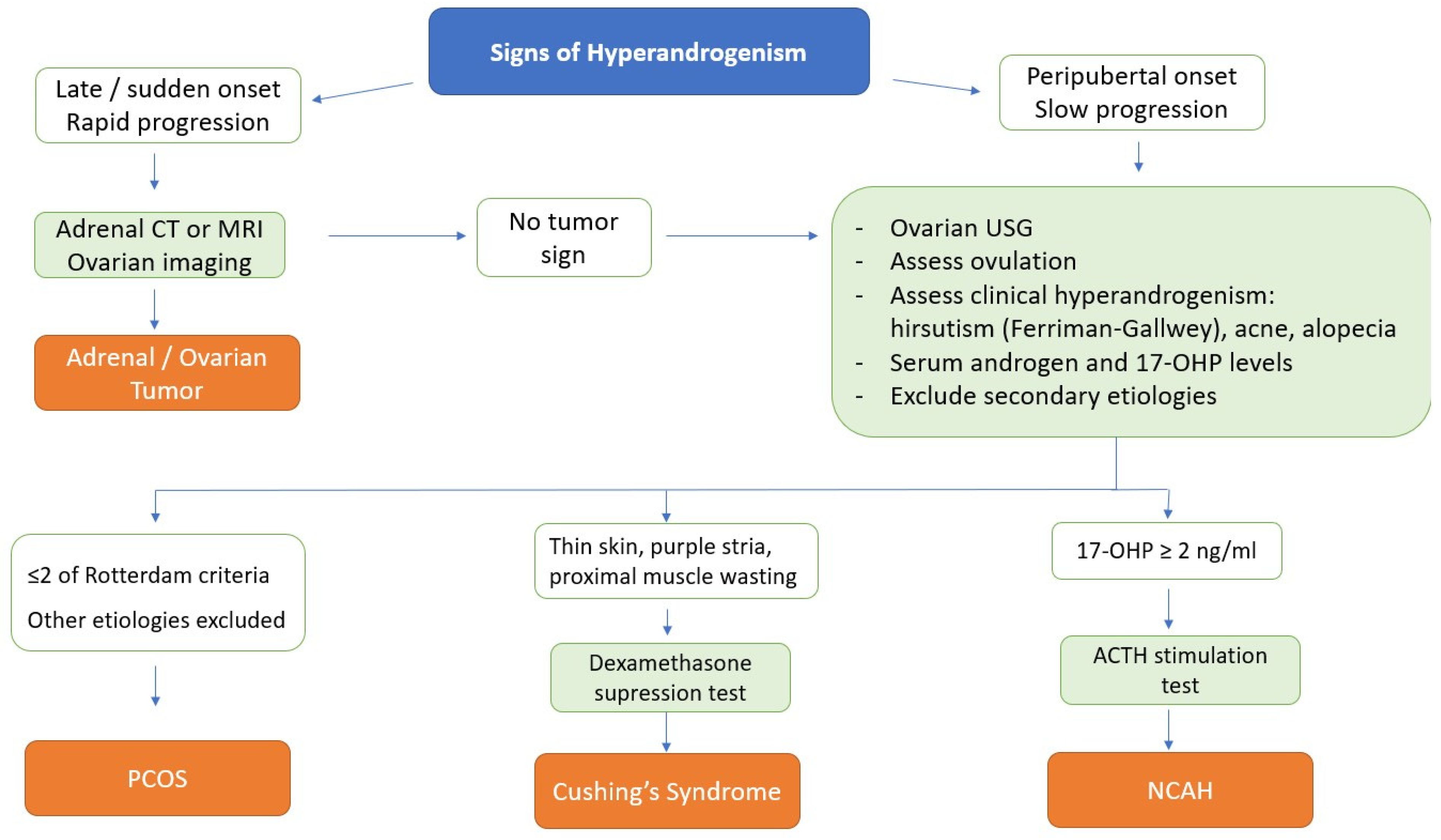 Differentiating Polycystic Ovary Syndrome from Adrenal Disorders